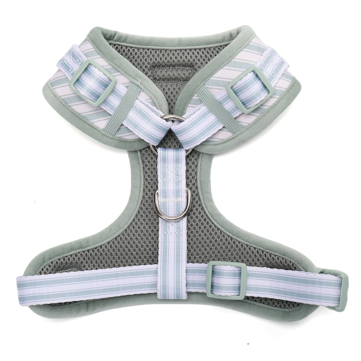 Ivy Stripe Harness