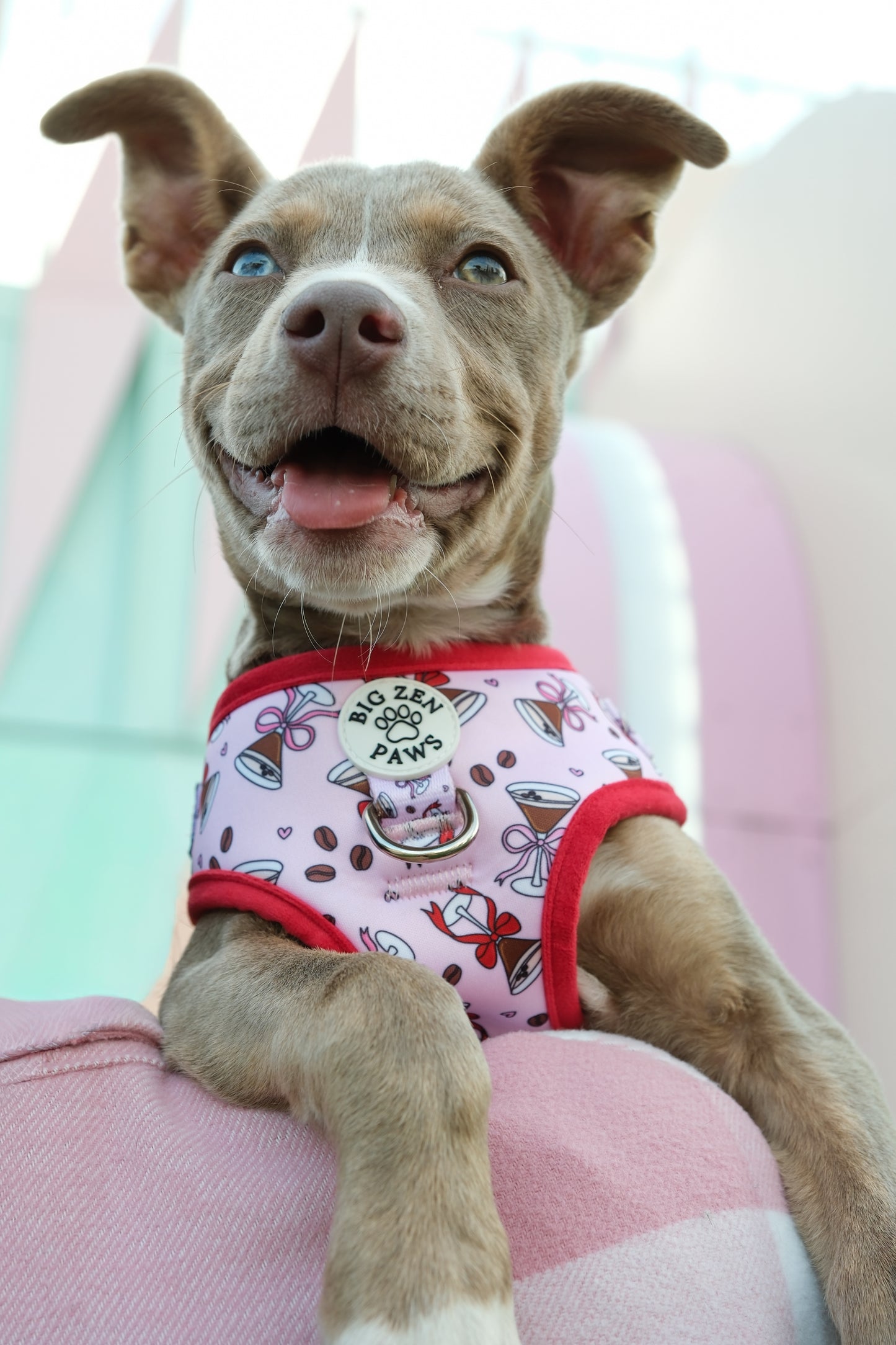 Espresso martini harness