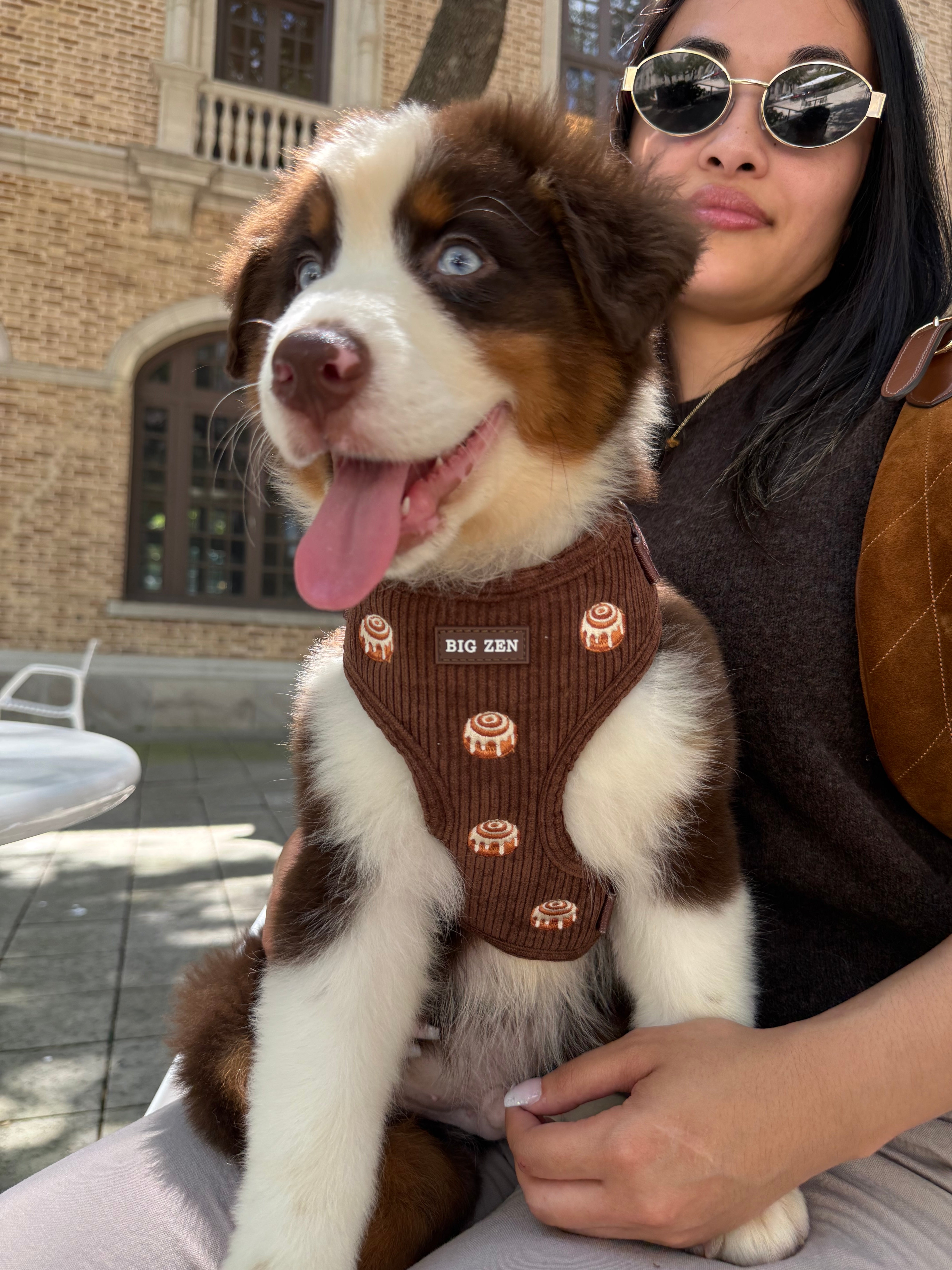 Cinnamon Swirl Harness