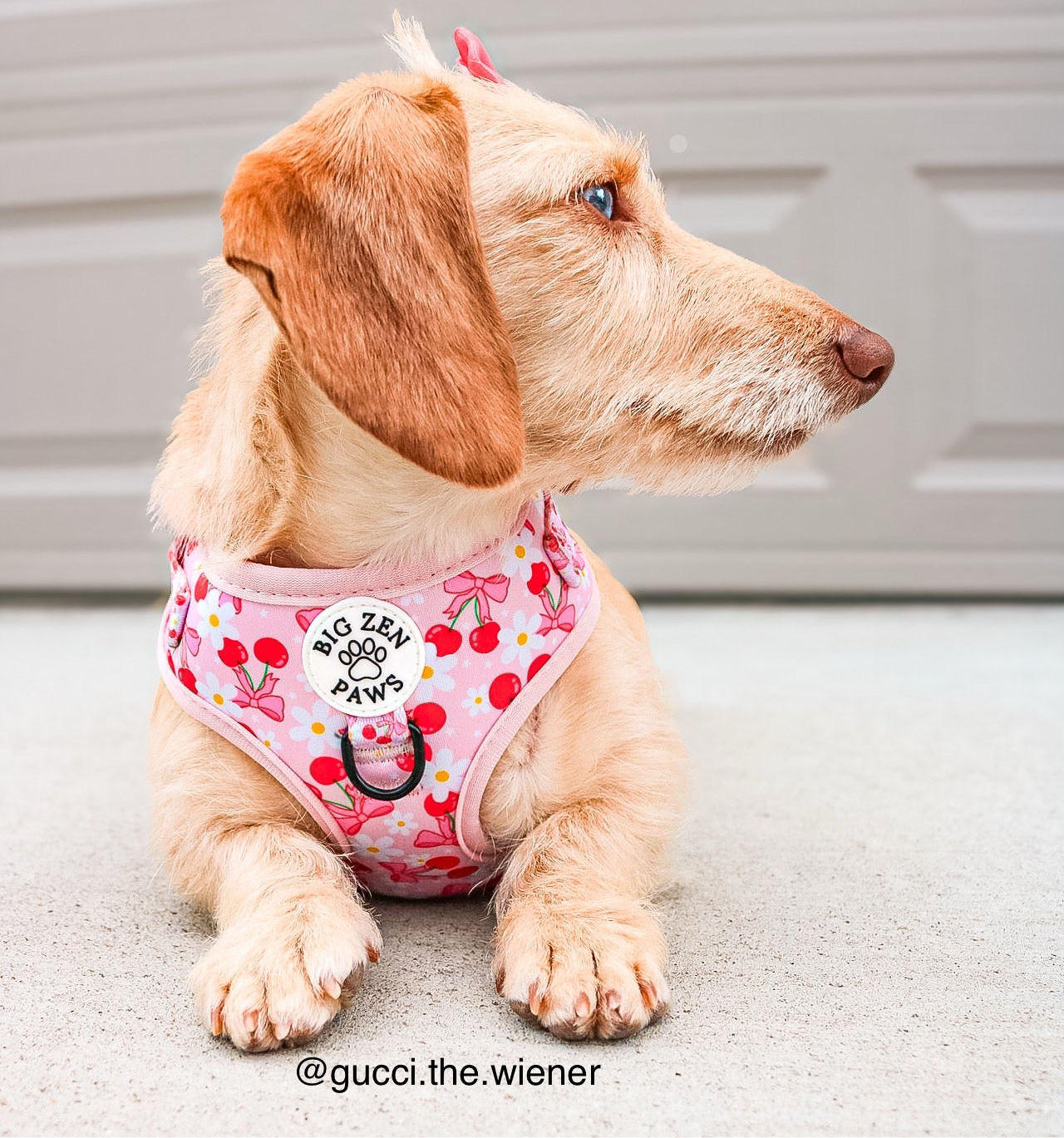 Sakura Harness