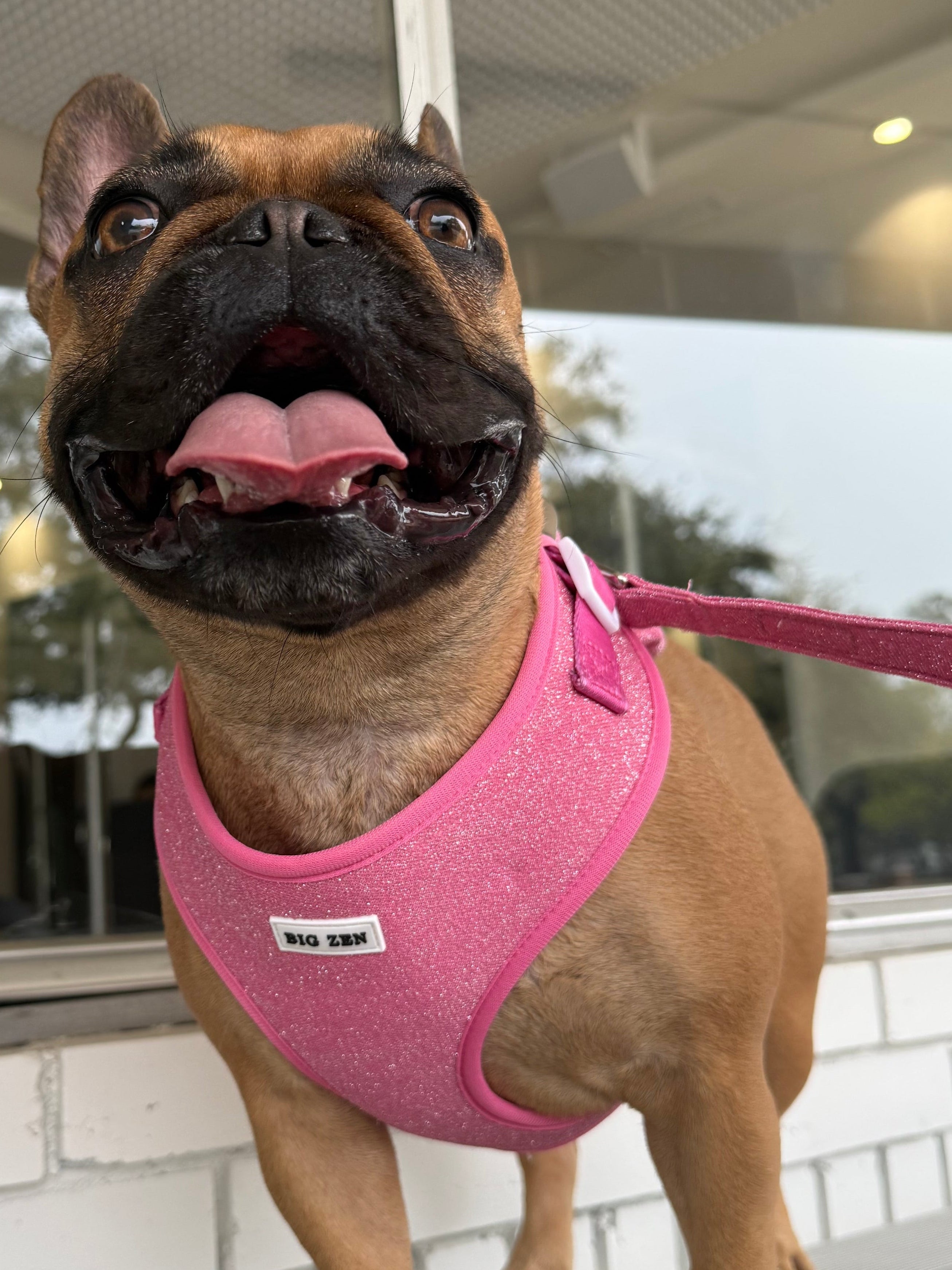 Stardust Harness