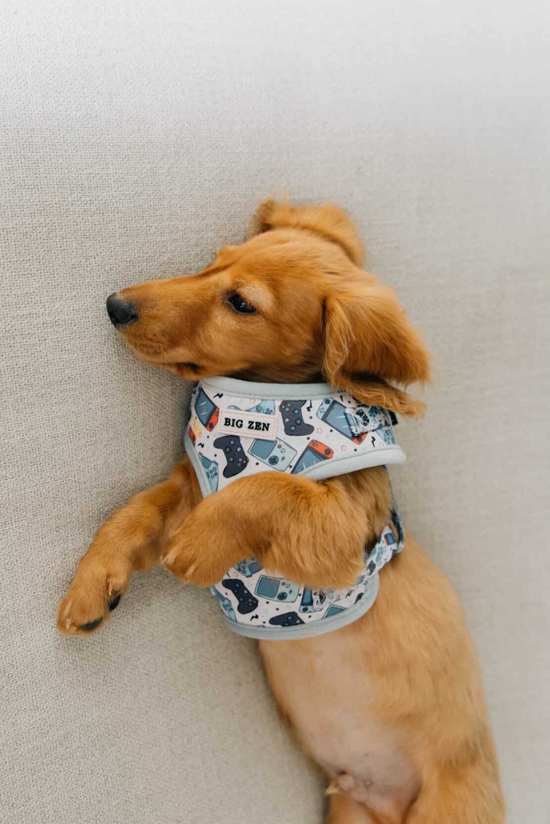 Level Up Harness