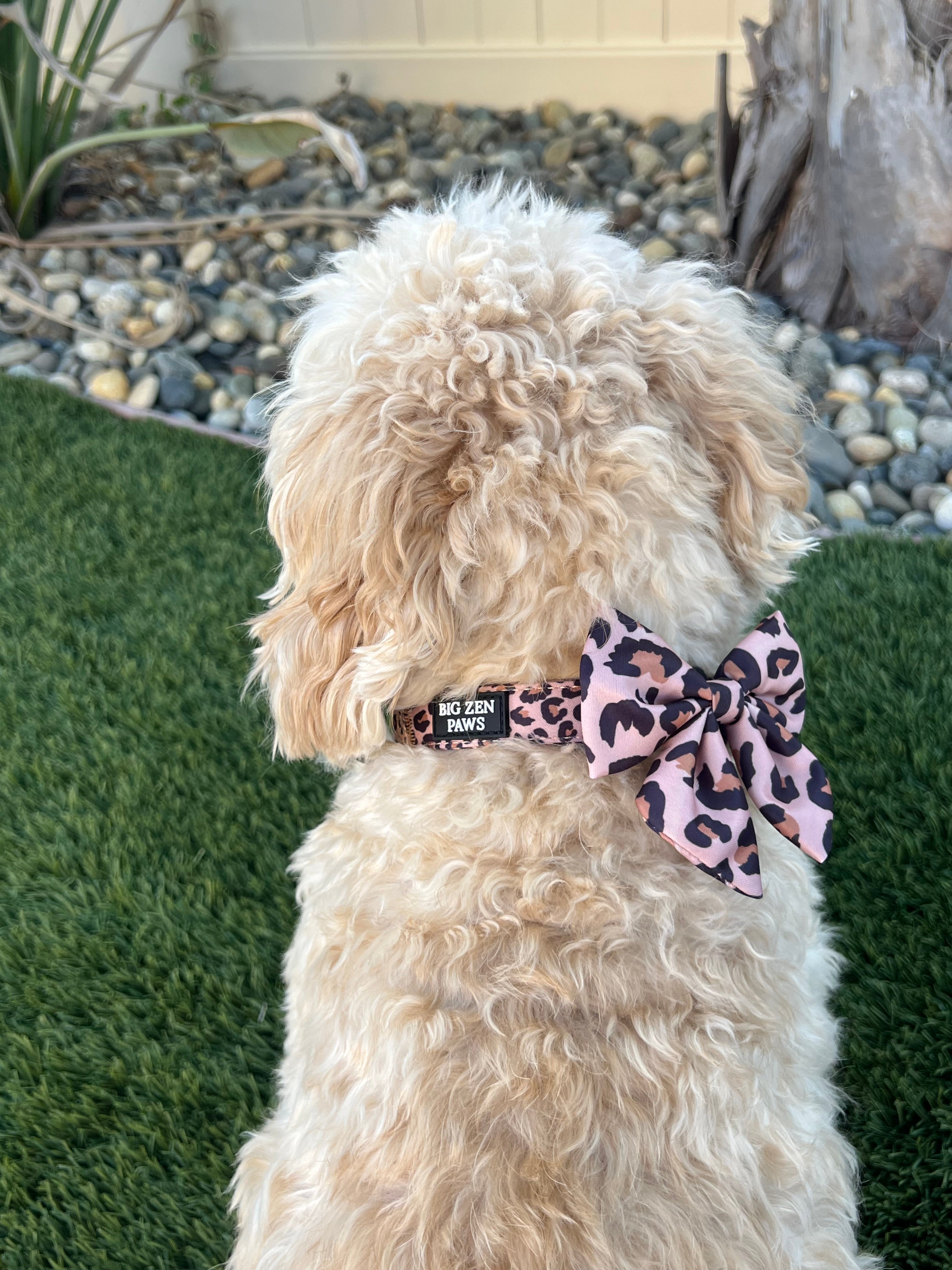 Safari Sailor Bow