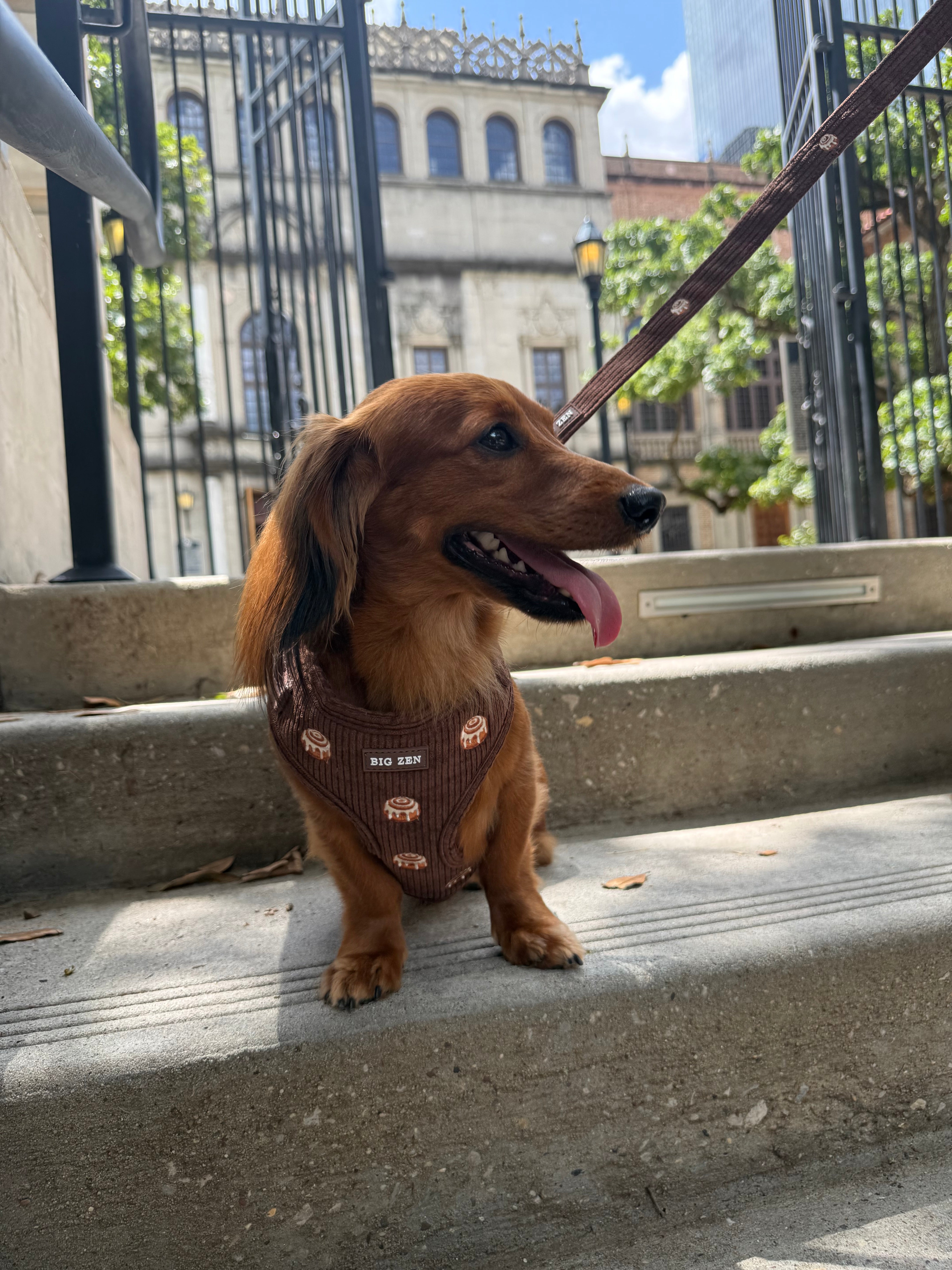 Cinnamon Swirl Harness
