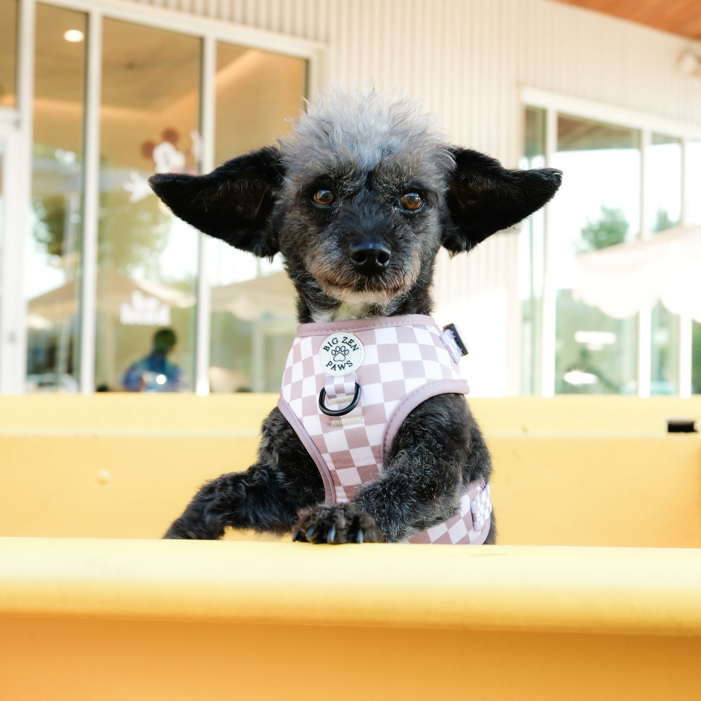 Checkerboard Charm Harness