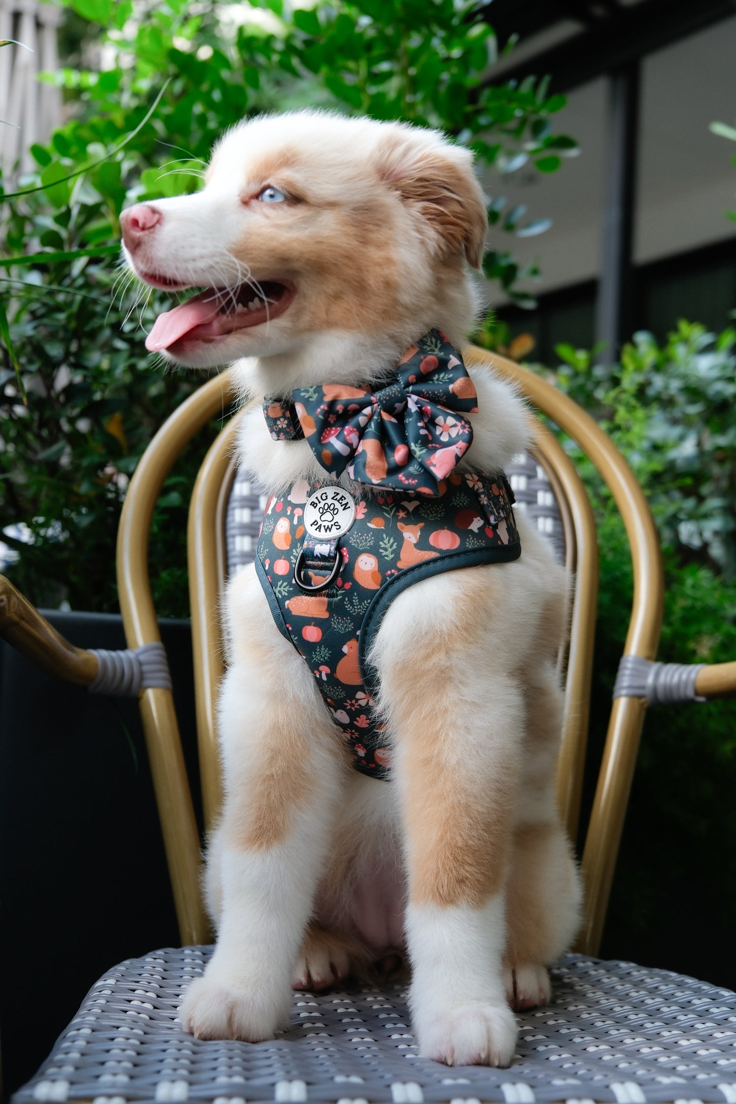 Forest Friends Sailor Bow