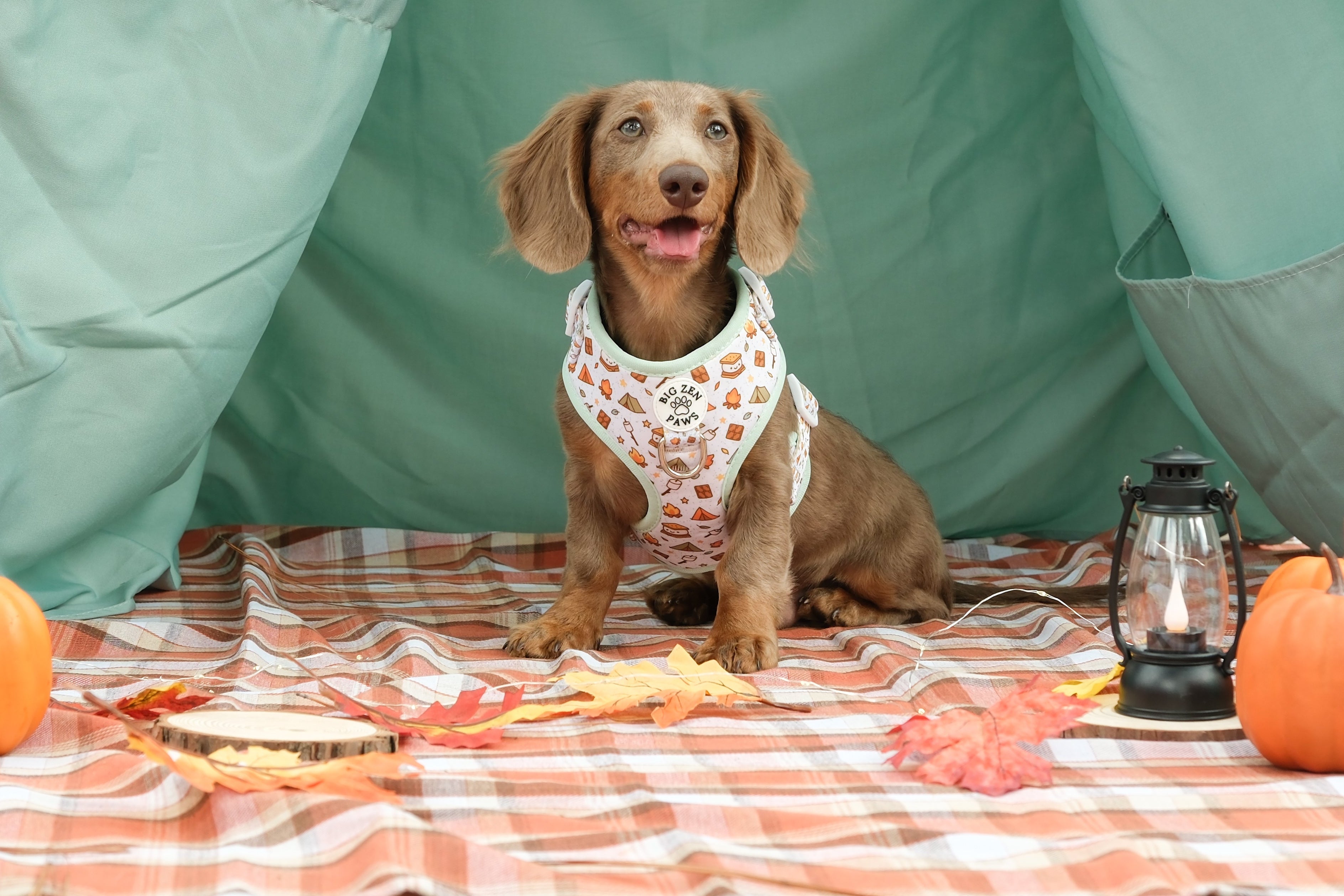 Smores Harness