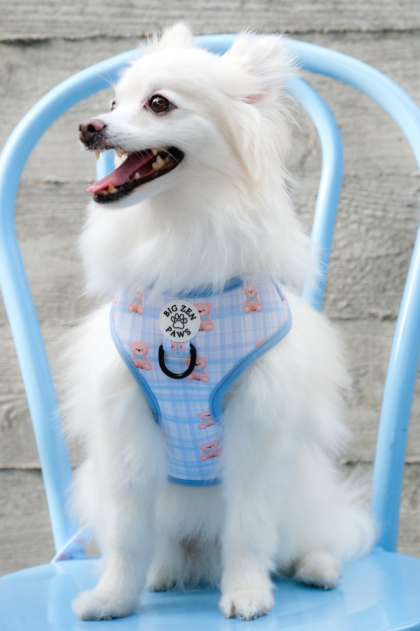 Beary blue harness