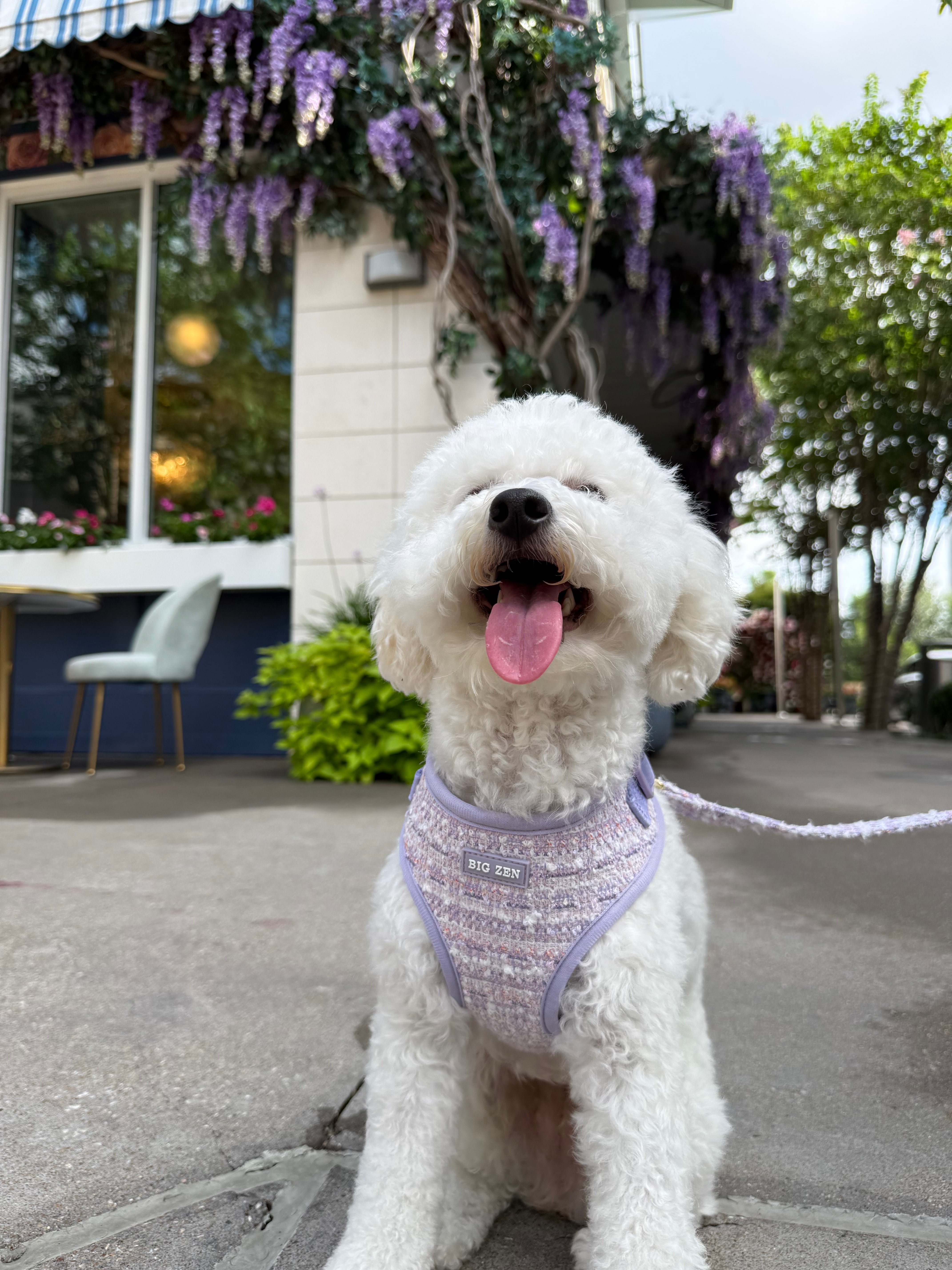 Lavender Tweed Harness