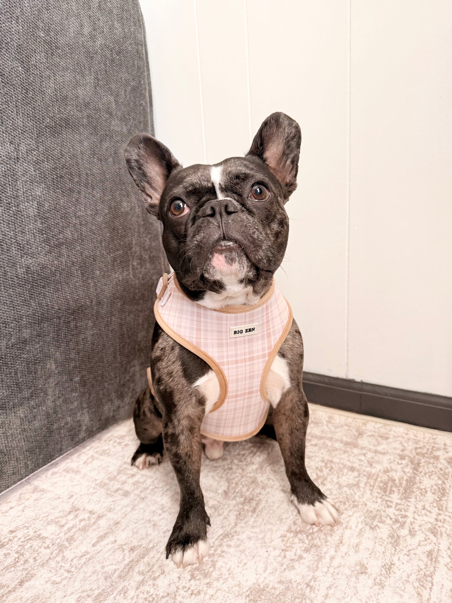 Cloud Foam Latte Harness