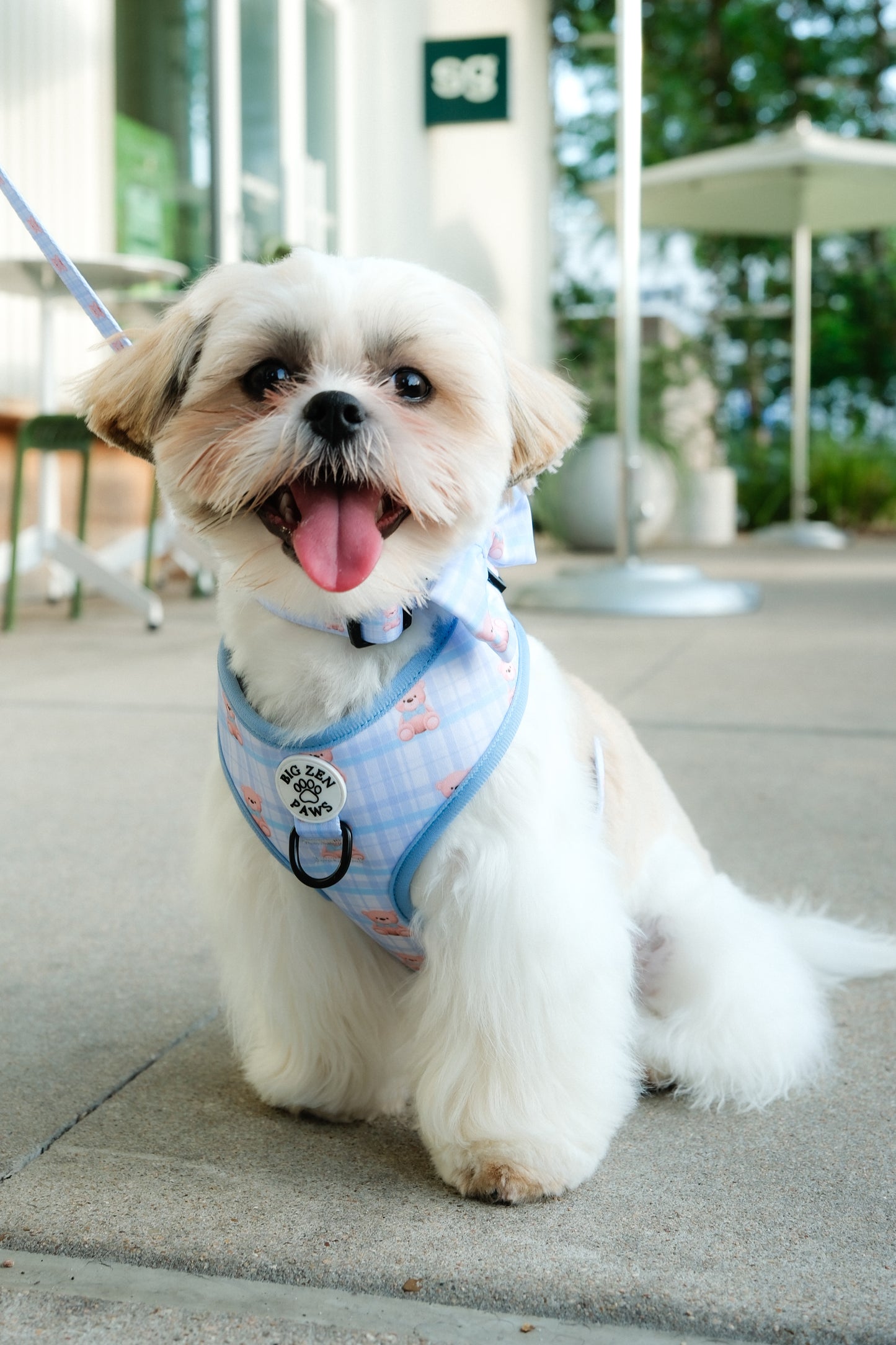 Beary blue harness