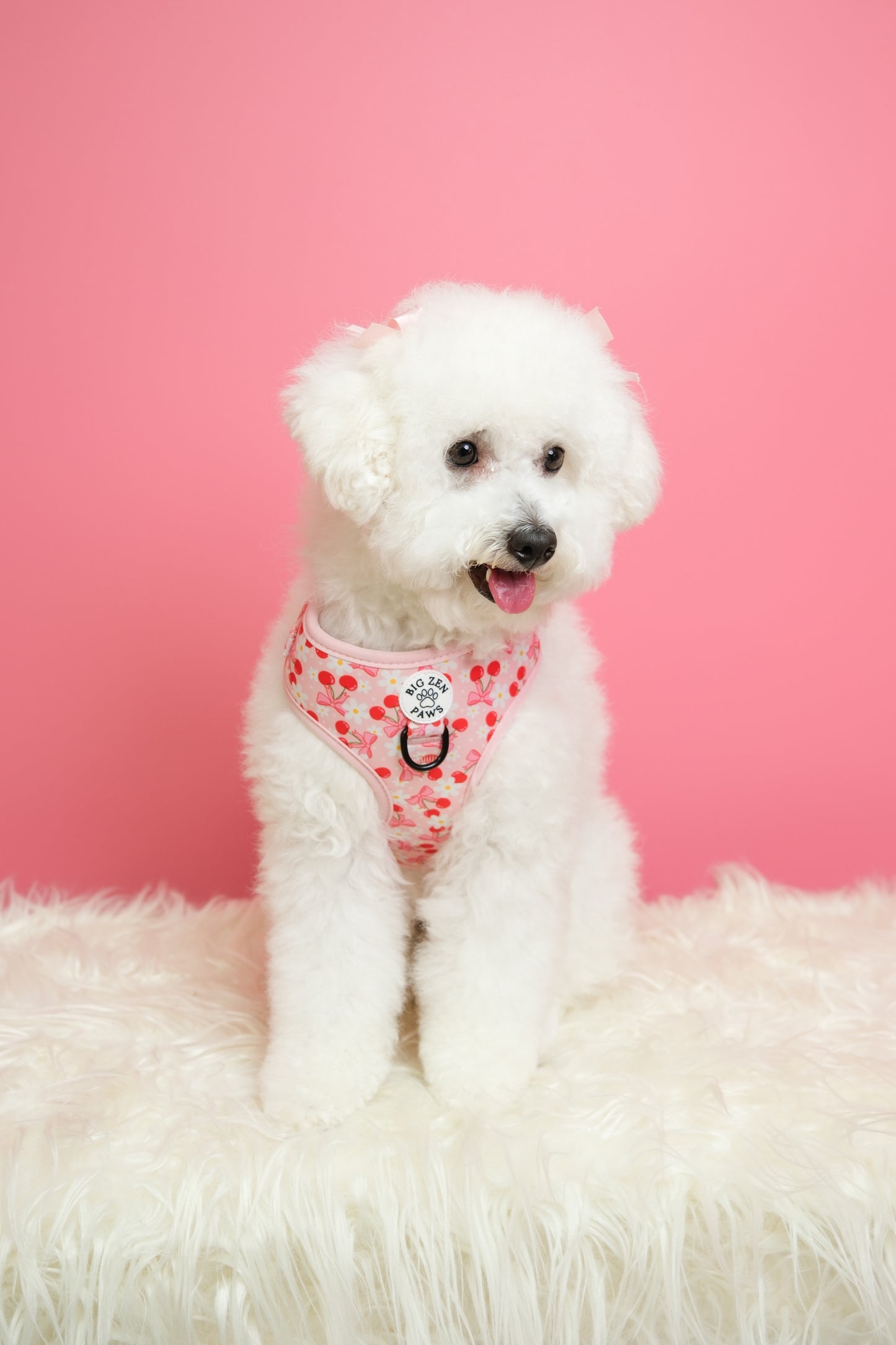 Sakura Harness