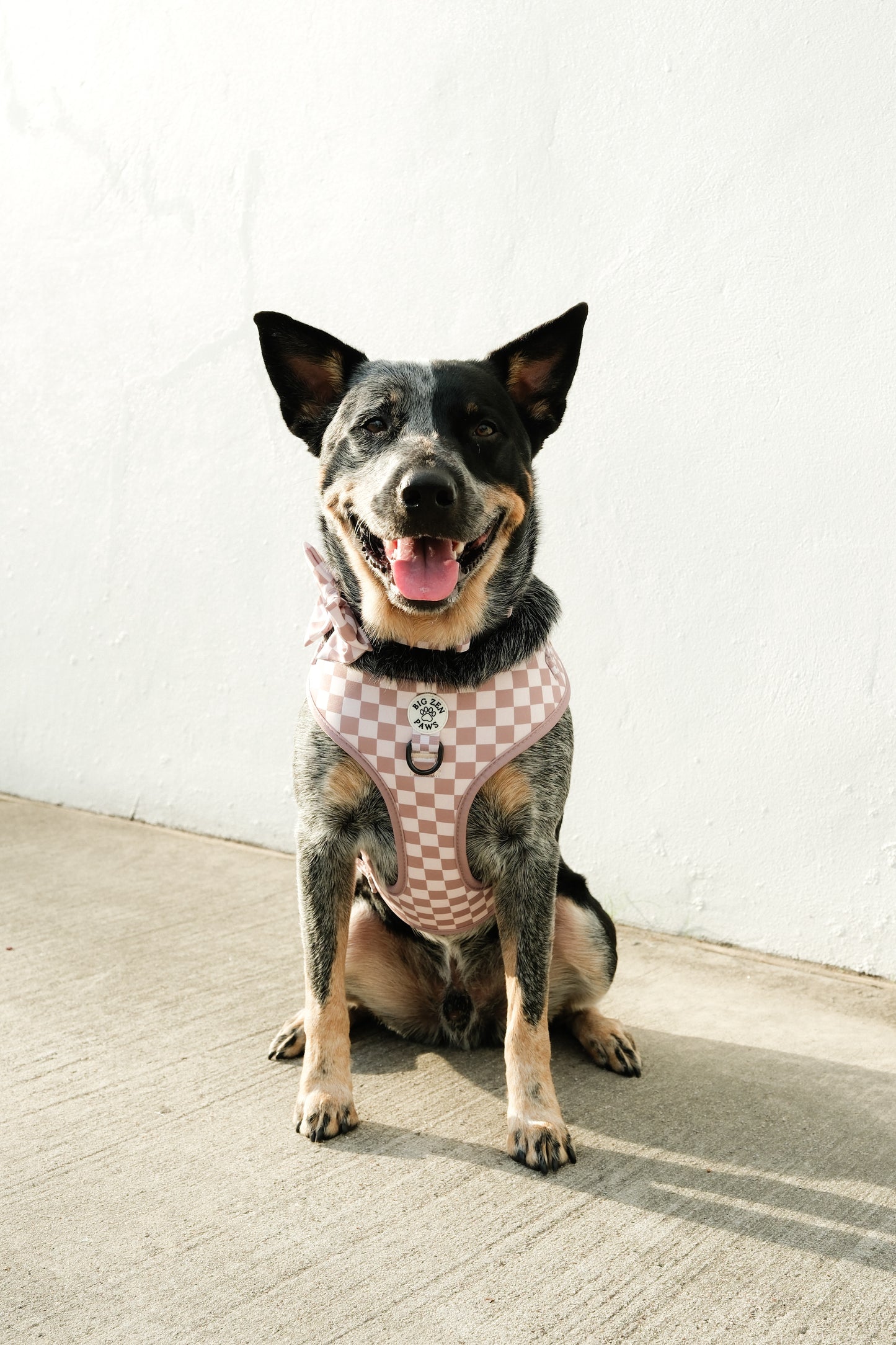 Checkerboard Charm Harness