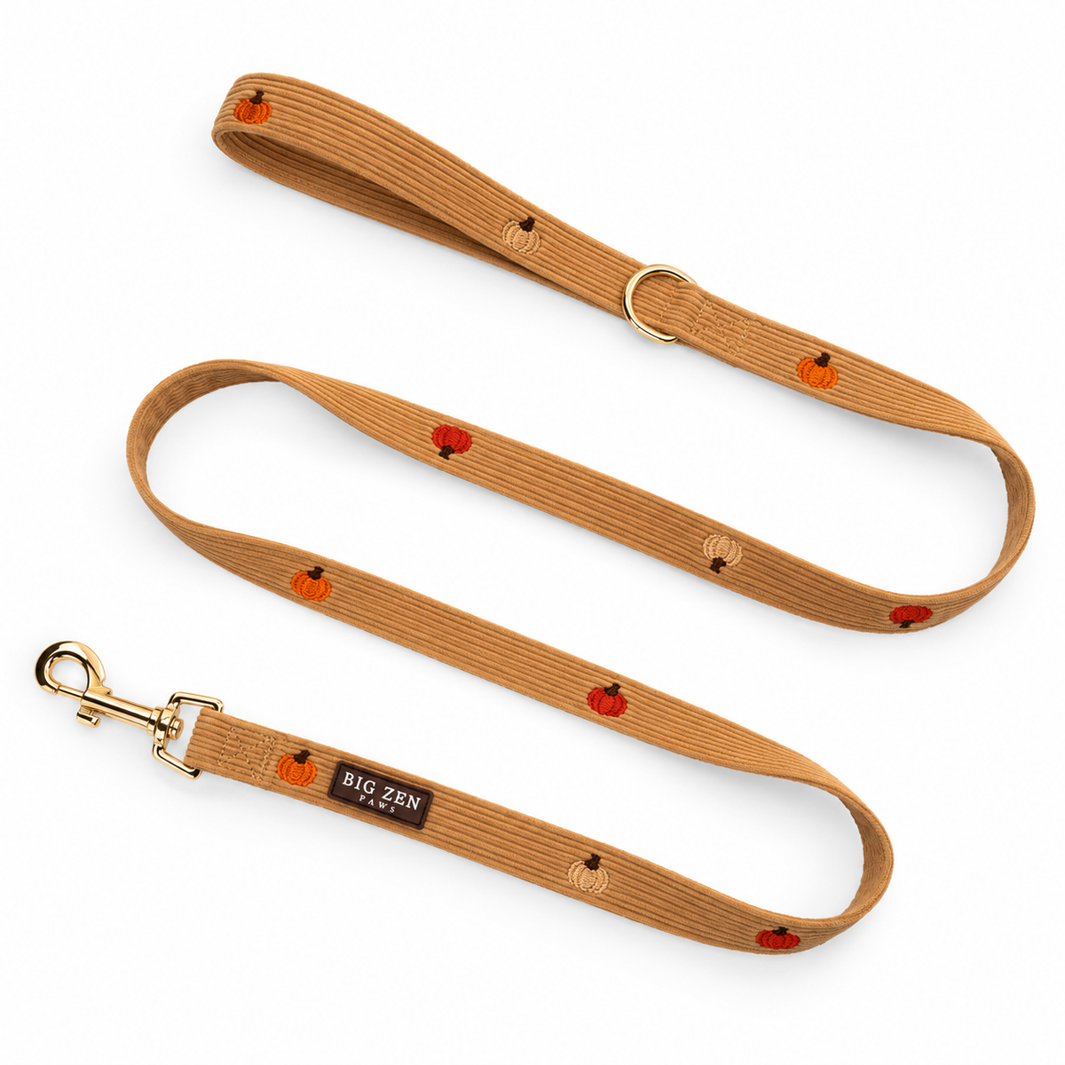 Pumpkin Patch Leash