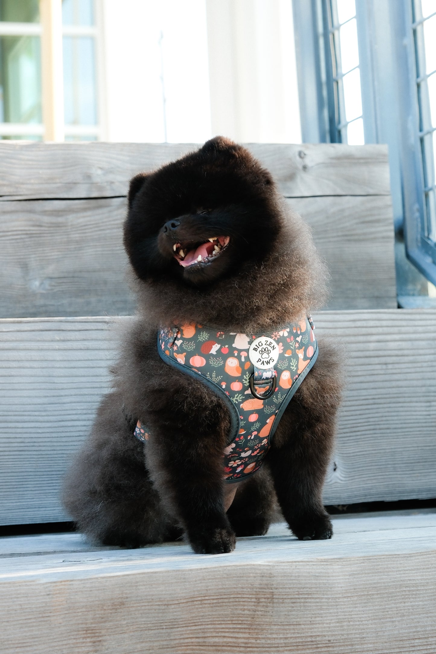 Forest Friends Harness