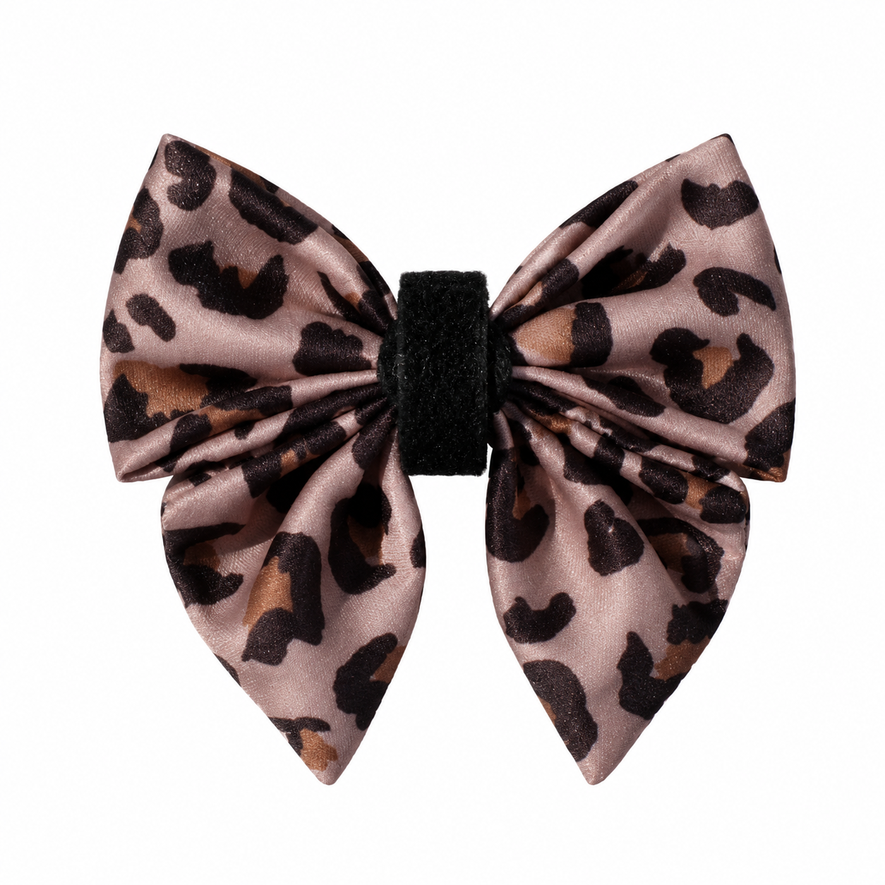 Safari Sailor Bow