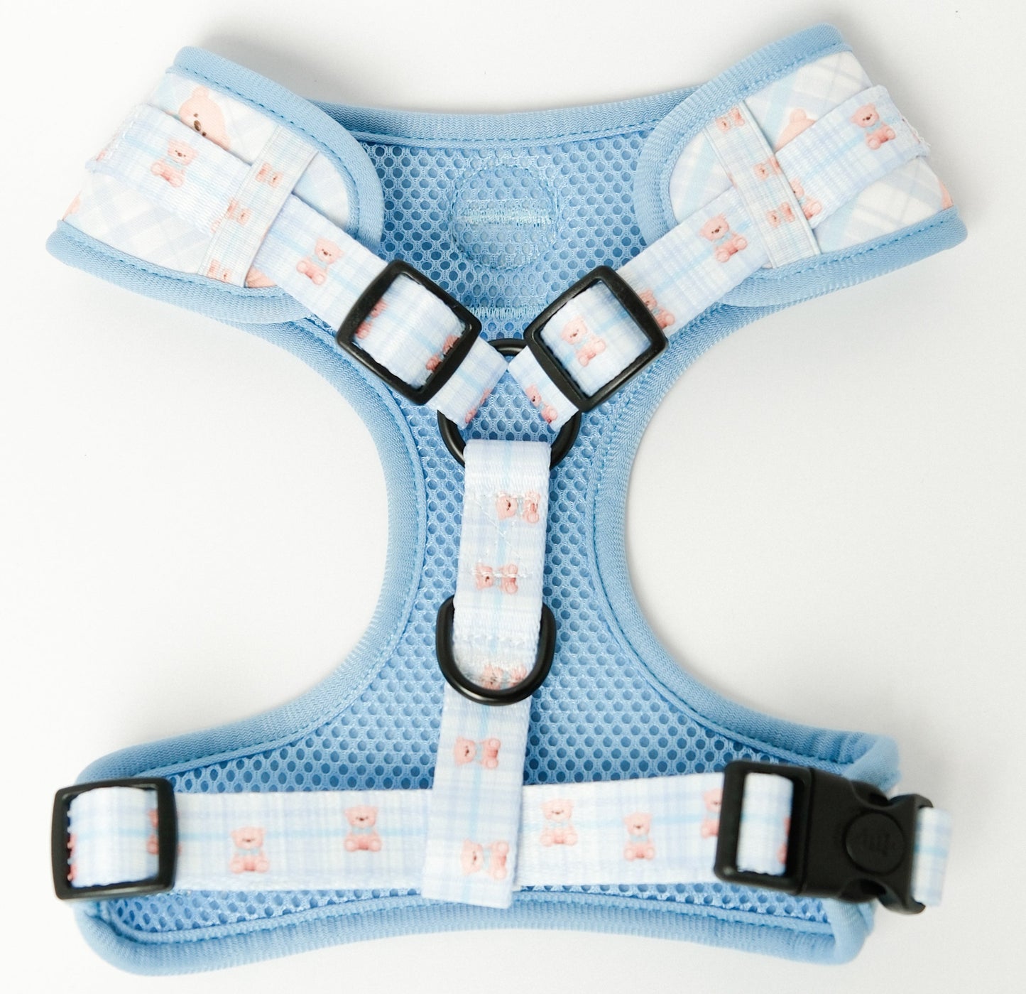 Beary blue harness