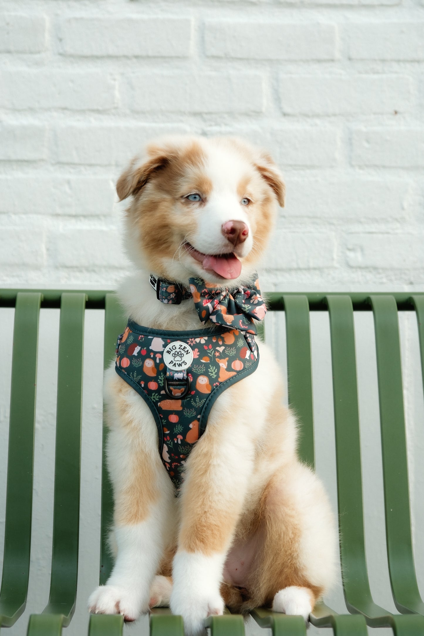 Forest Friends Harness