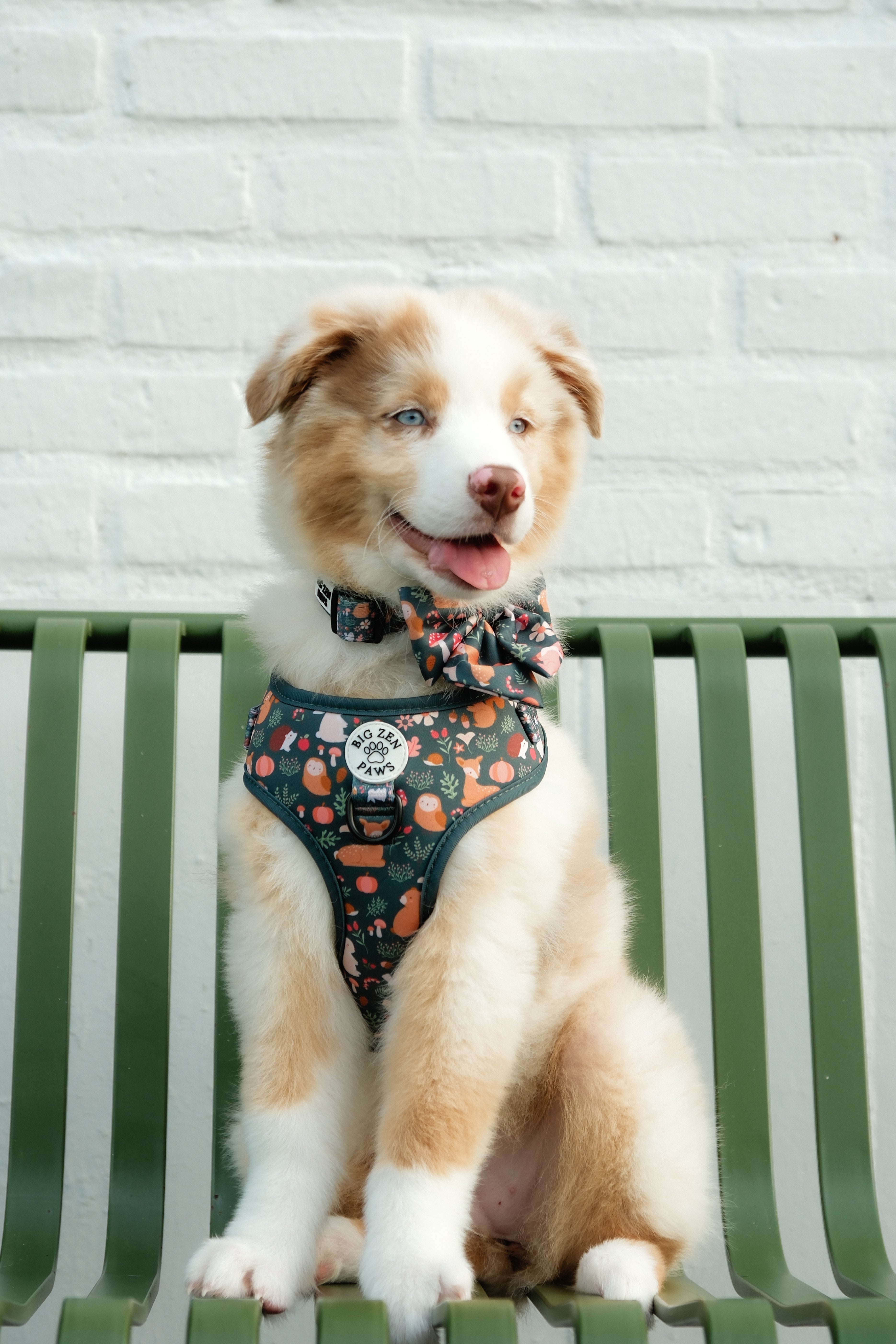 Forest Friends Harness