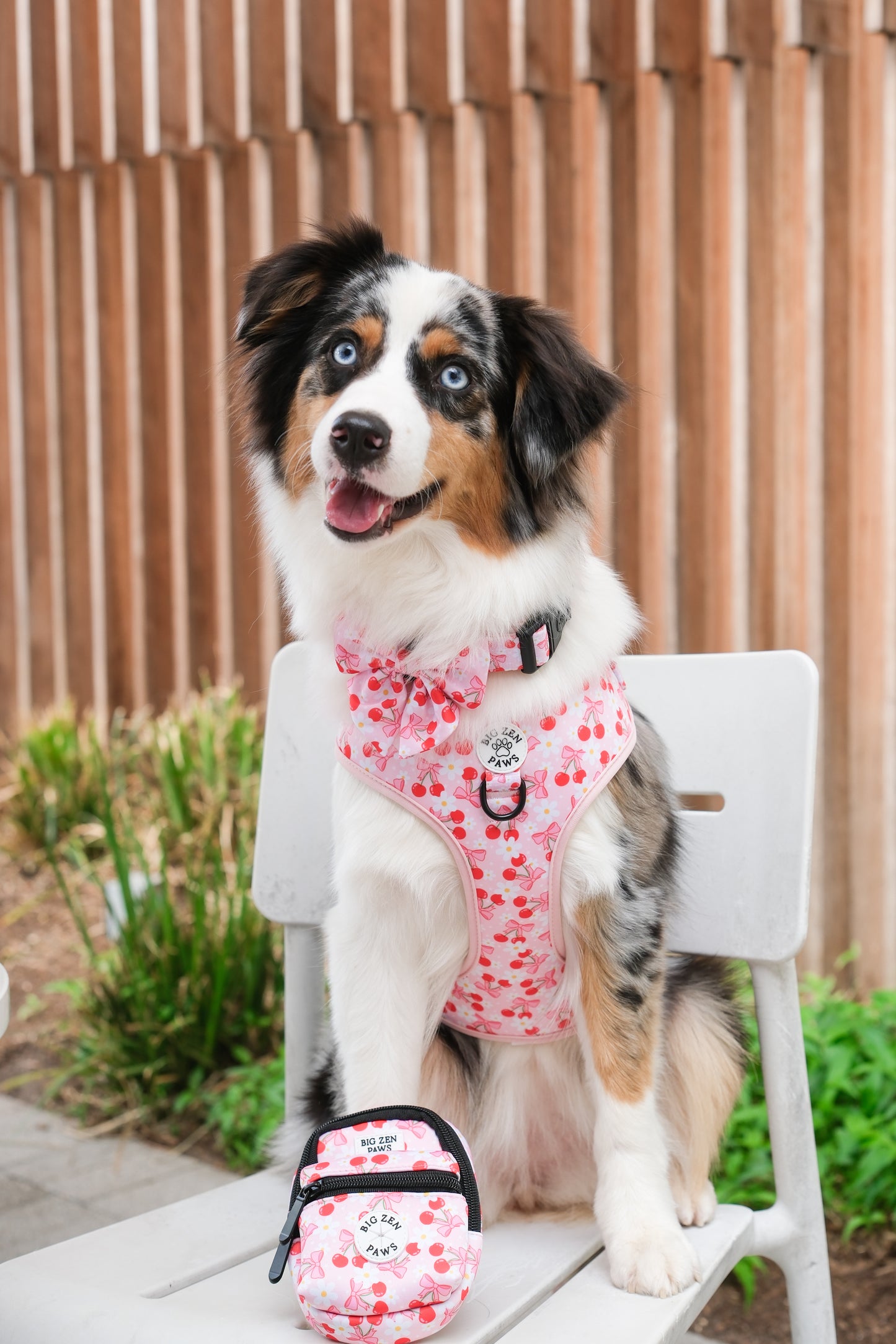 Sakura Harness