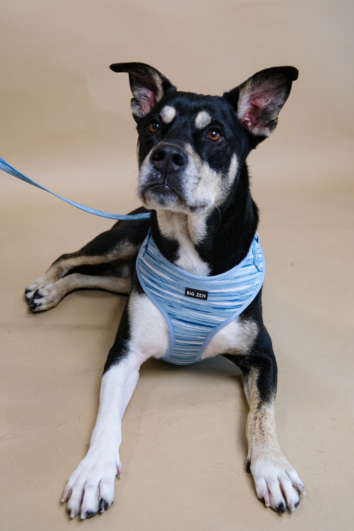Shades of Blue harness