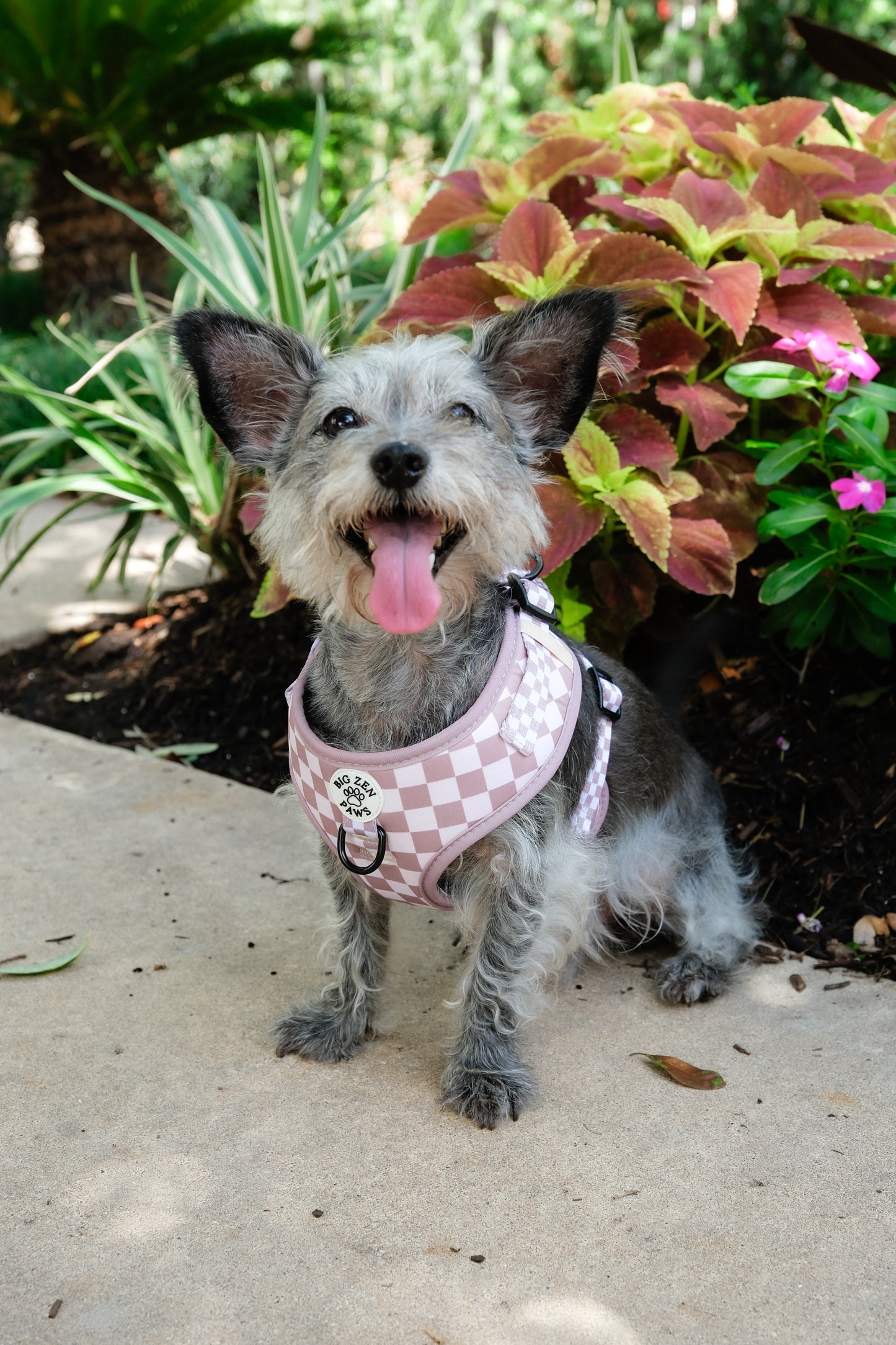 Checkerboard Charm Harness
