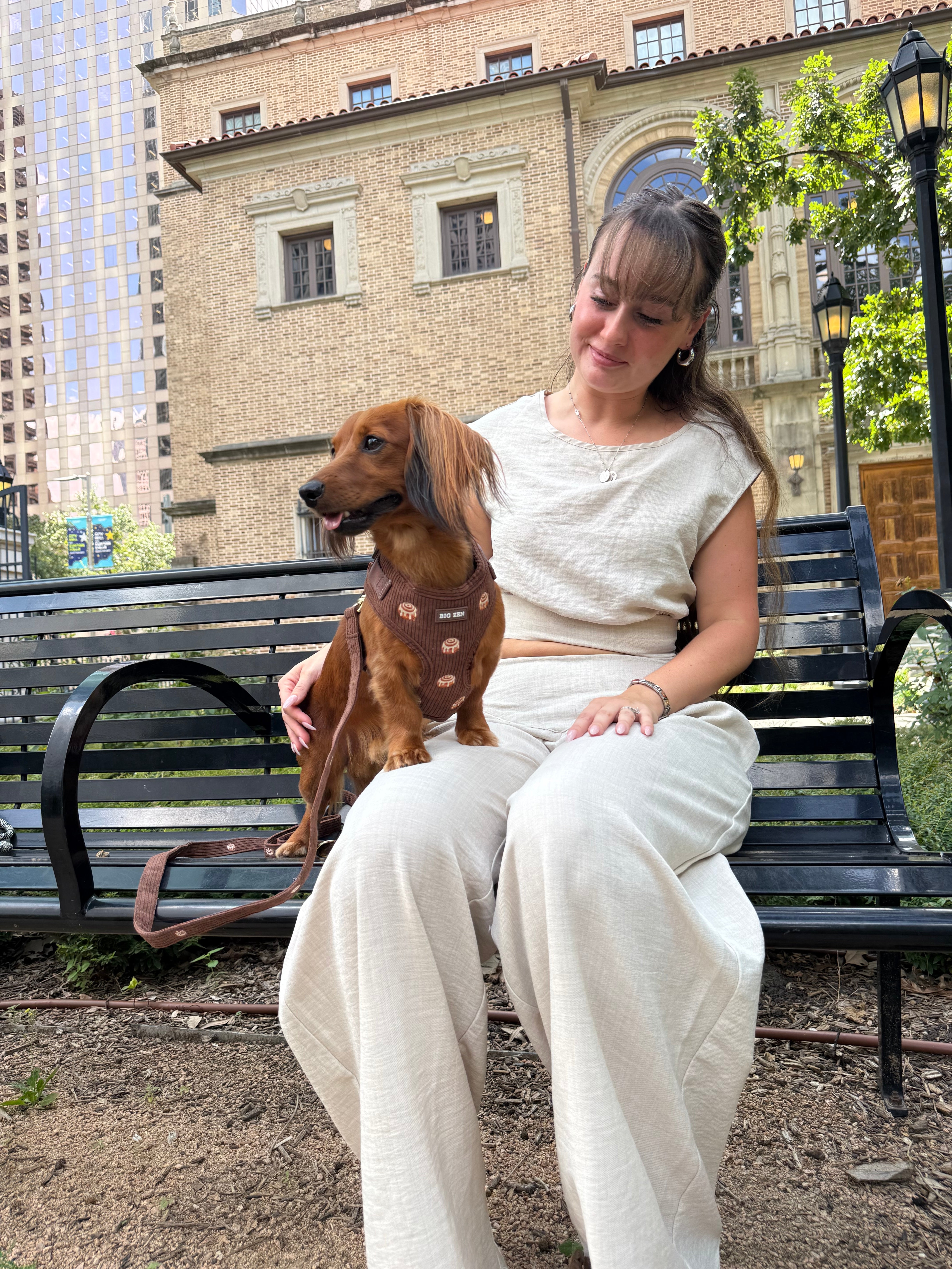 Cinnamon Swirl Harness