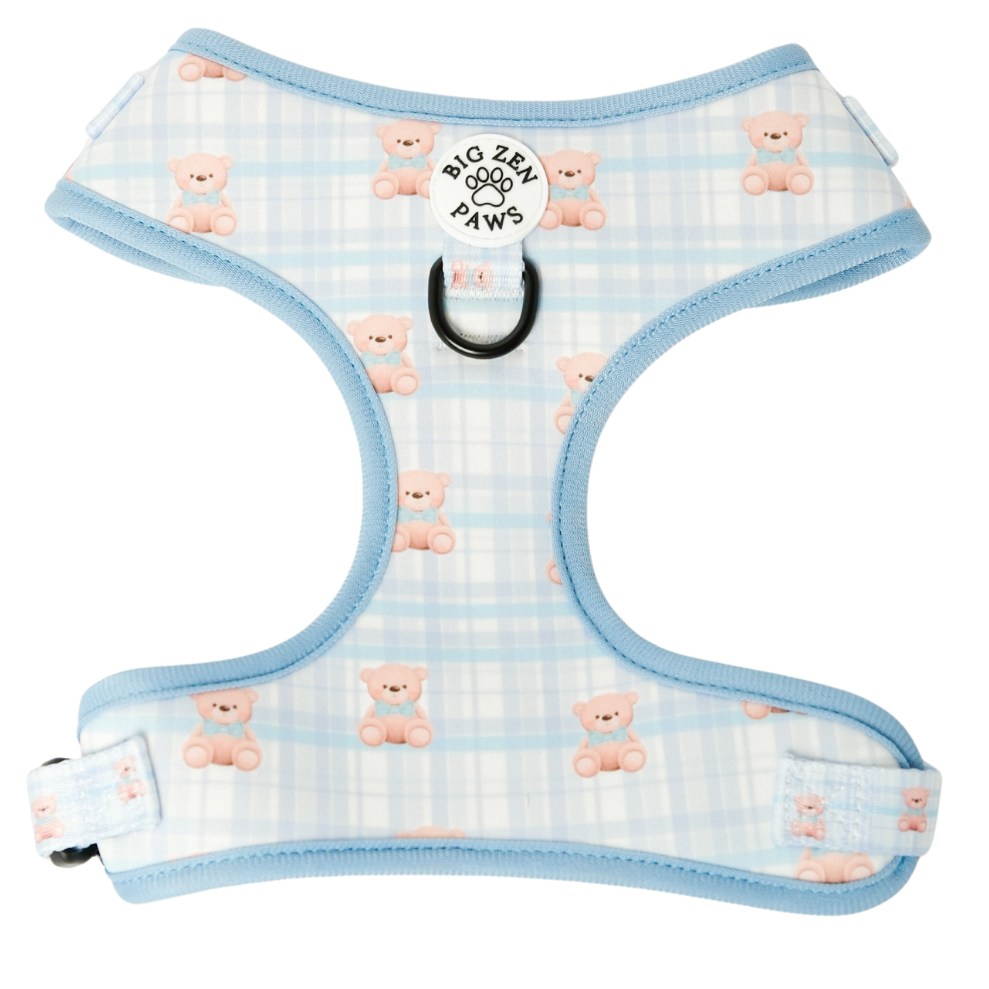 Beary blue harness