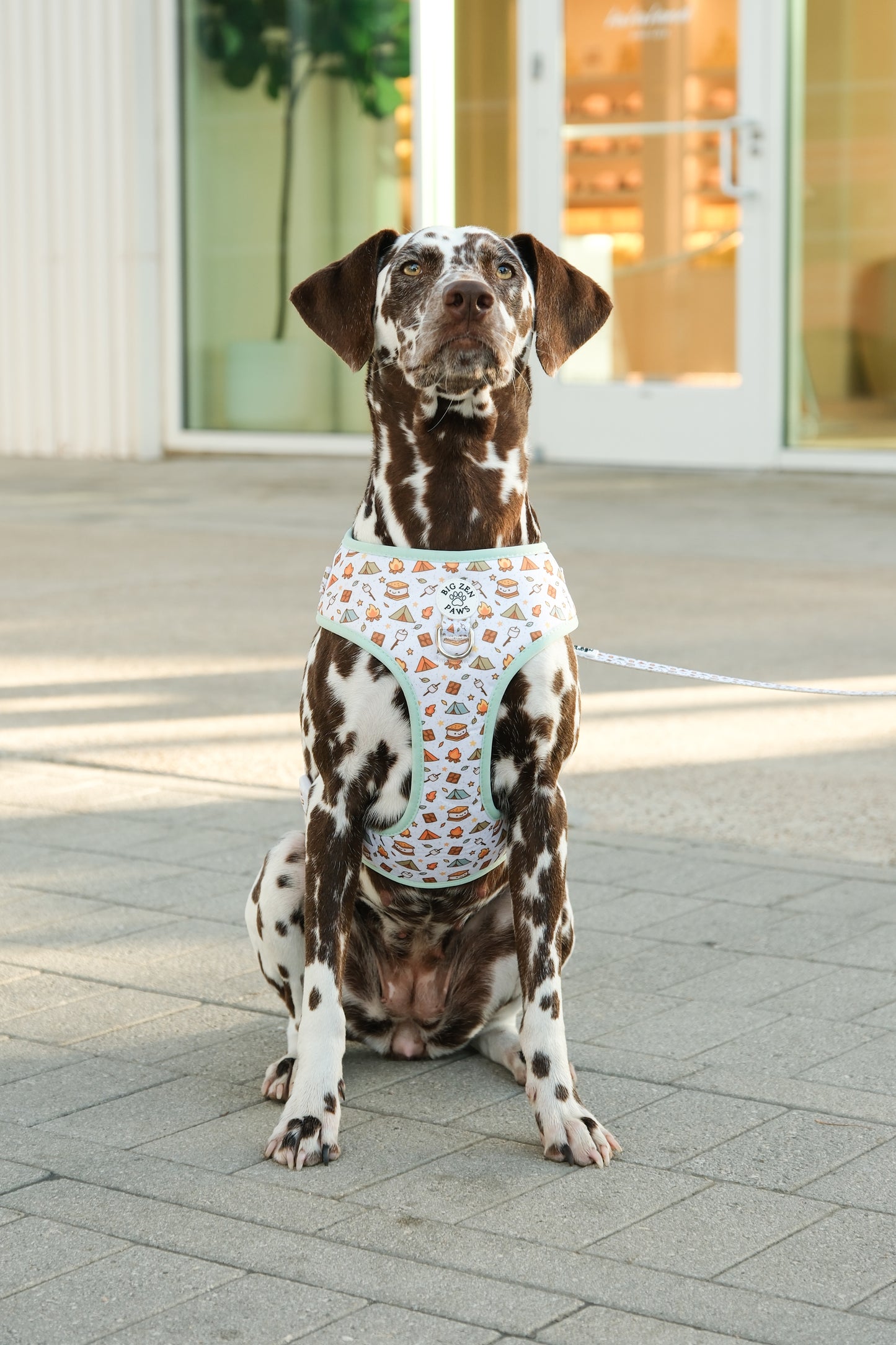Smores Harness
