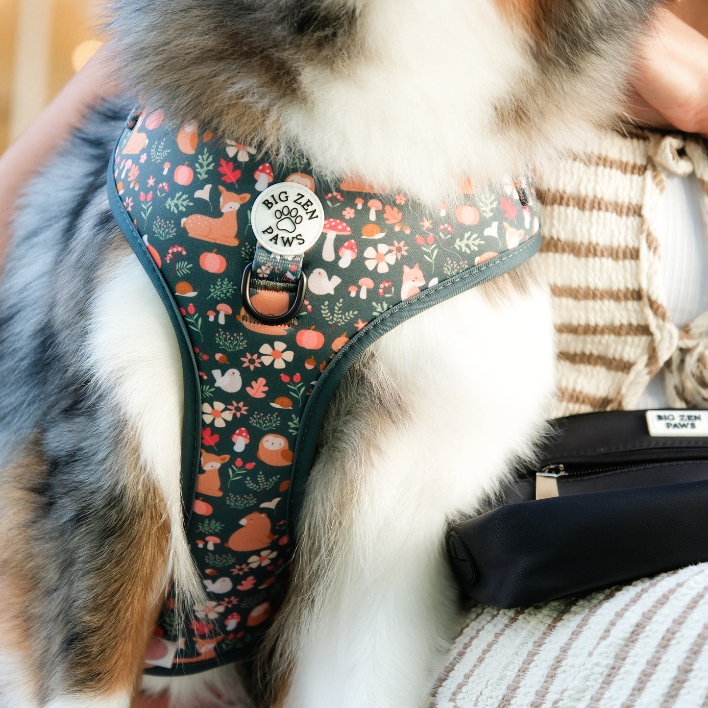 Forest Friends Harness