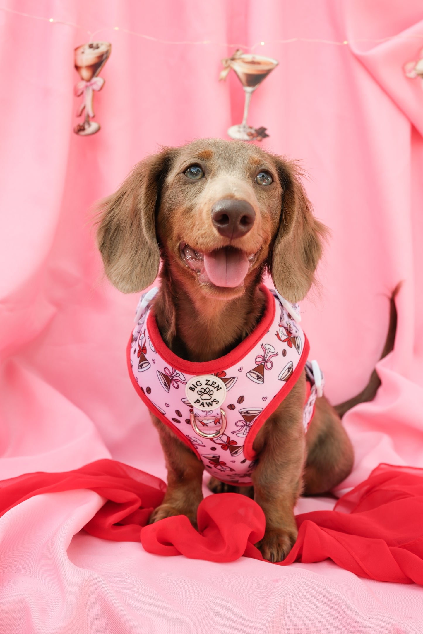 Espresso martini harness