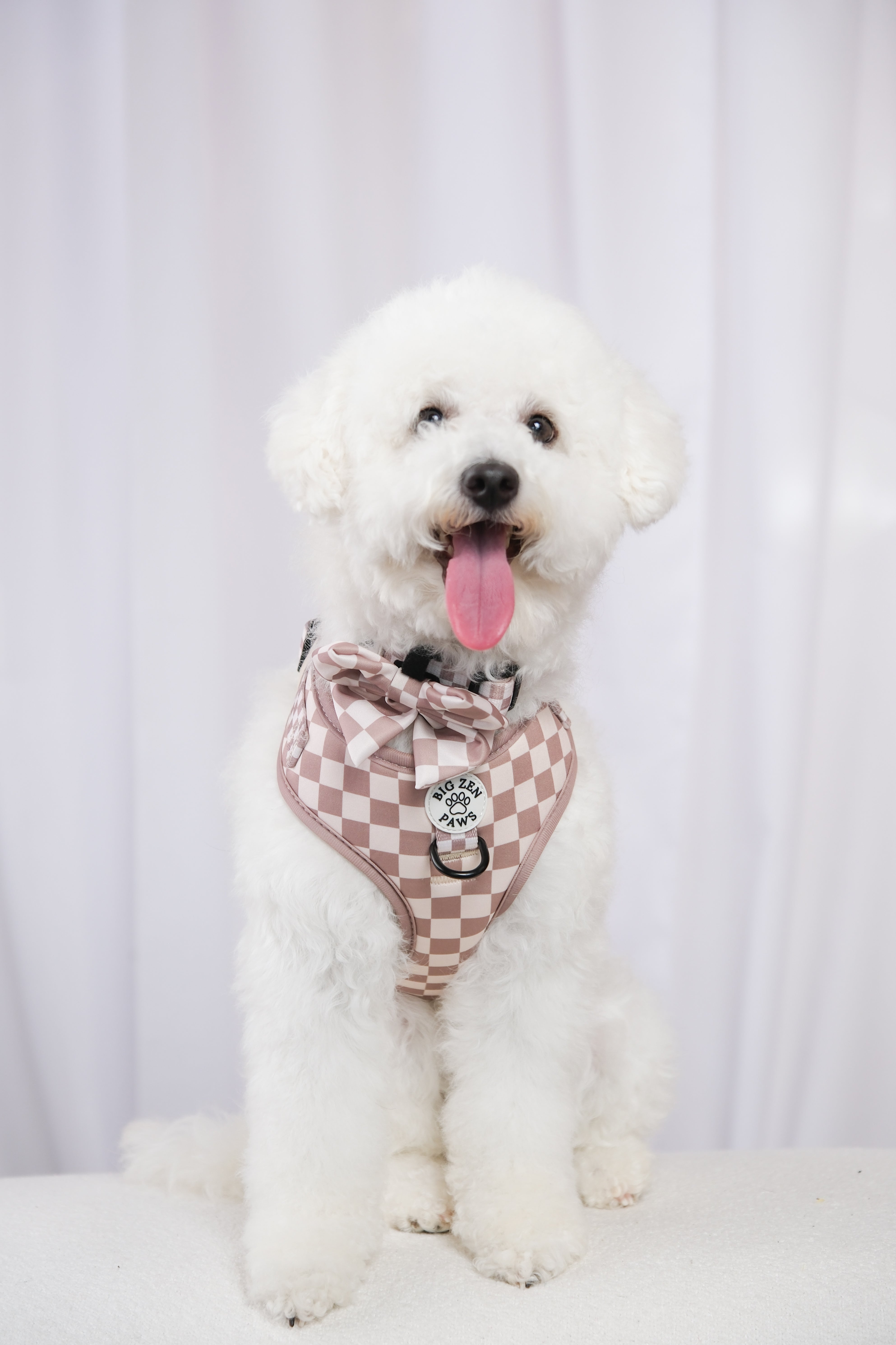 Checkerboard Charm Harness