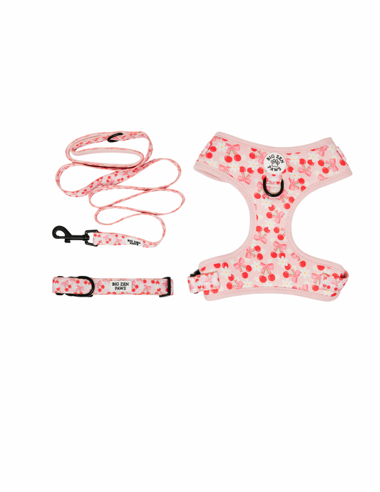 Sakura Harness, Leash, & Collar bundle