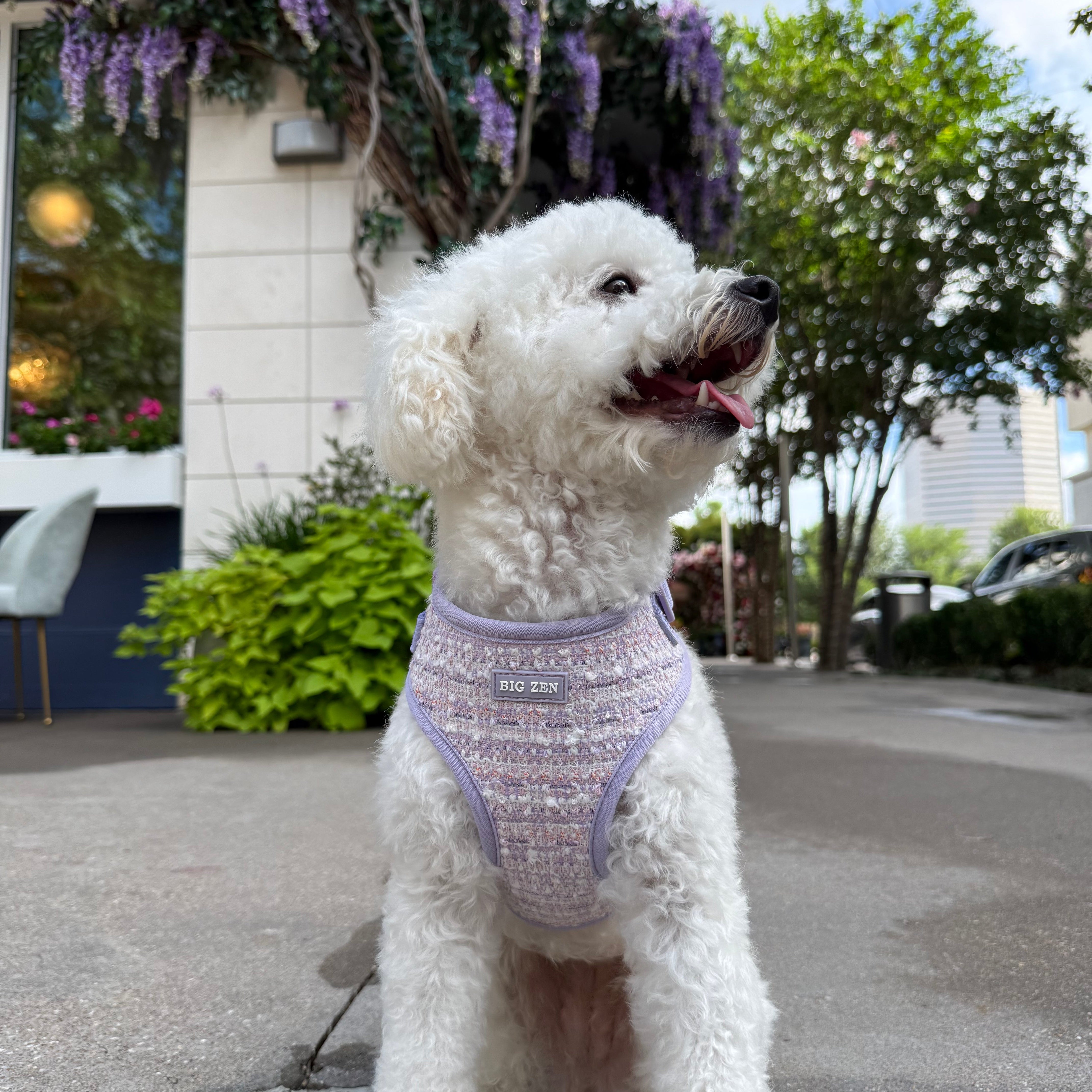 Lavender Tweed Harness