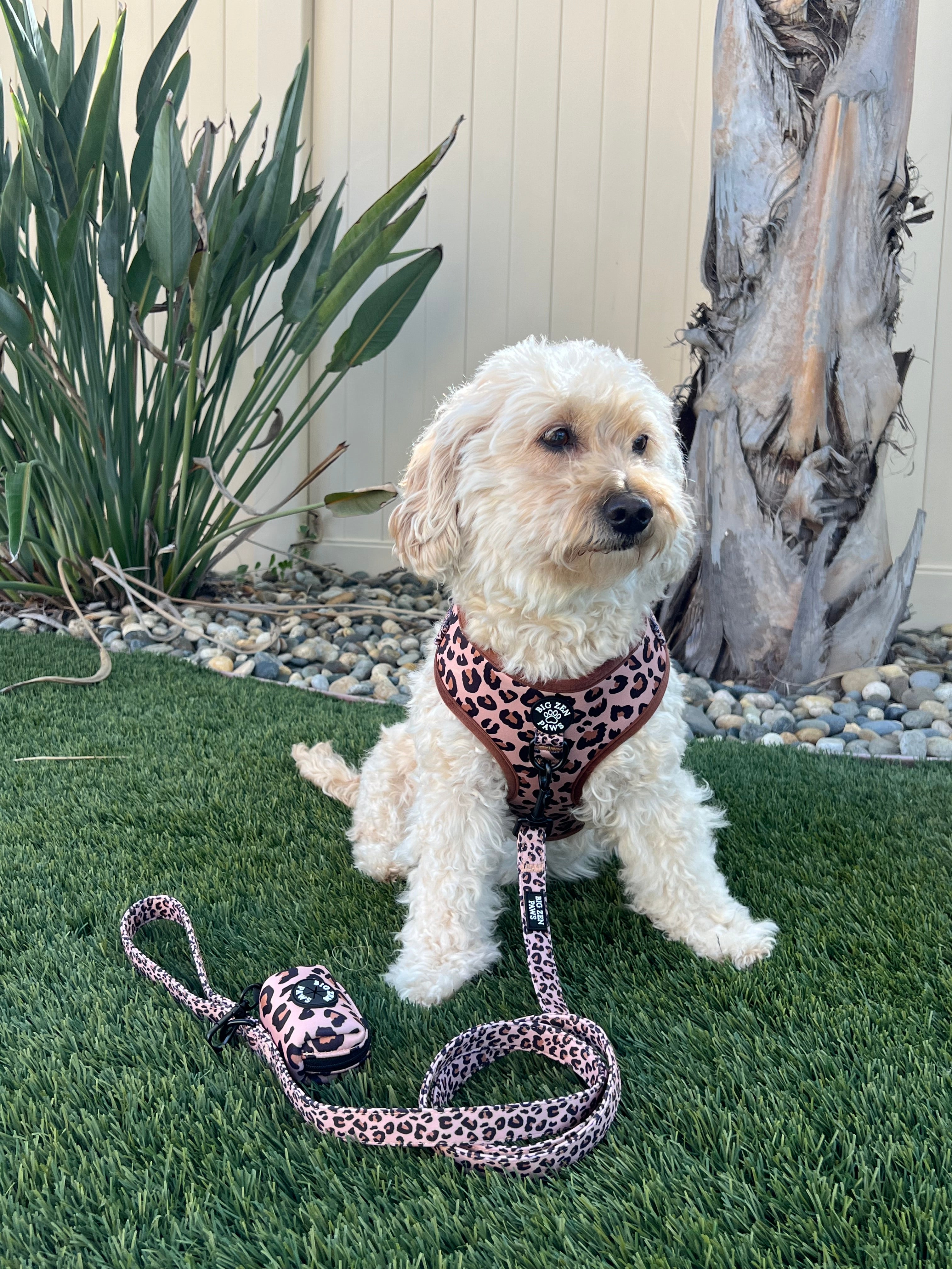 Safari Harness