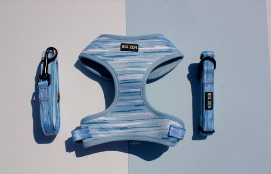Shades of blue collar walk set
