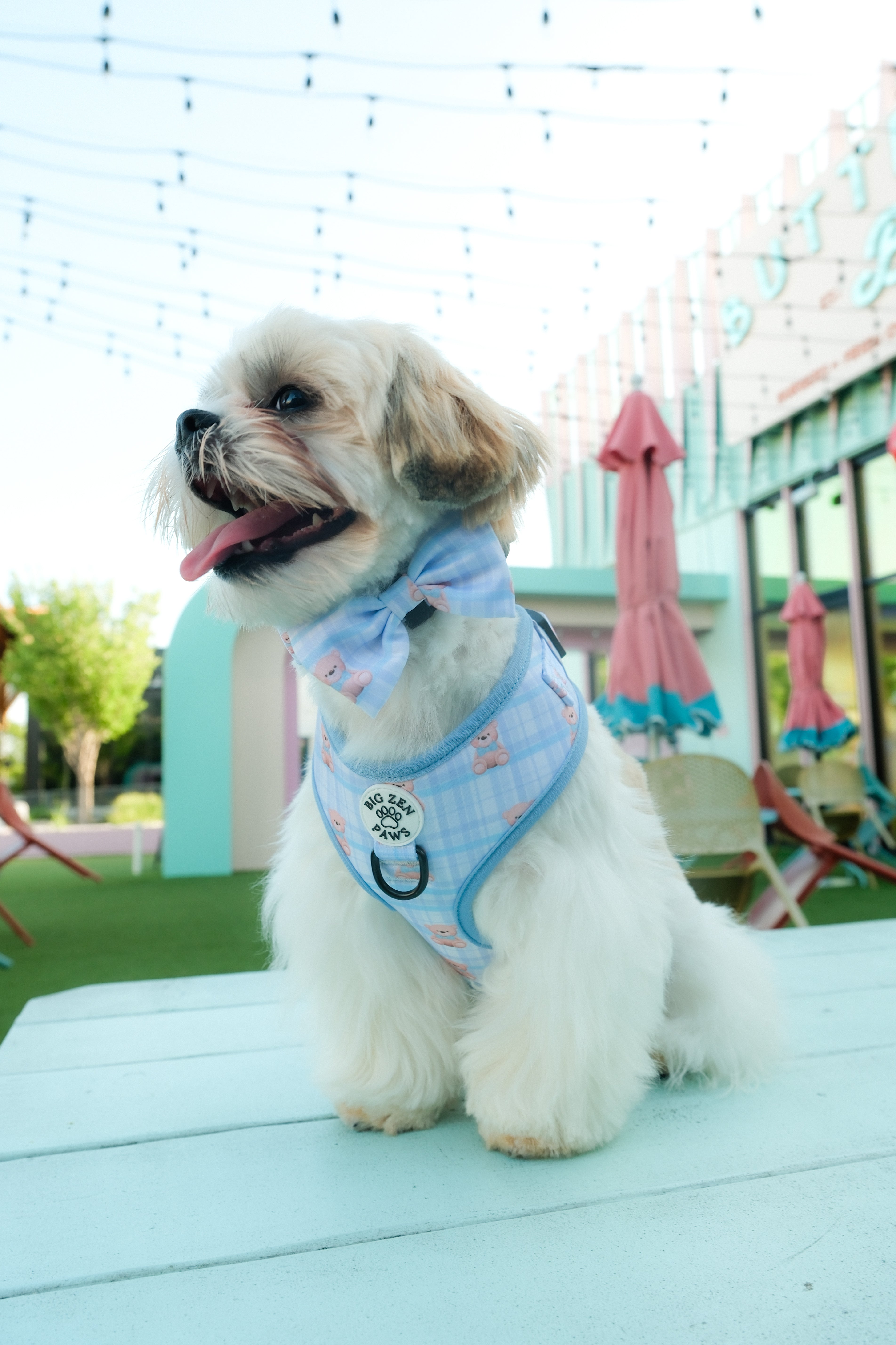 Beary Blue Bow Tie