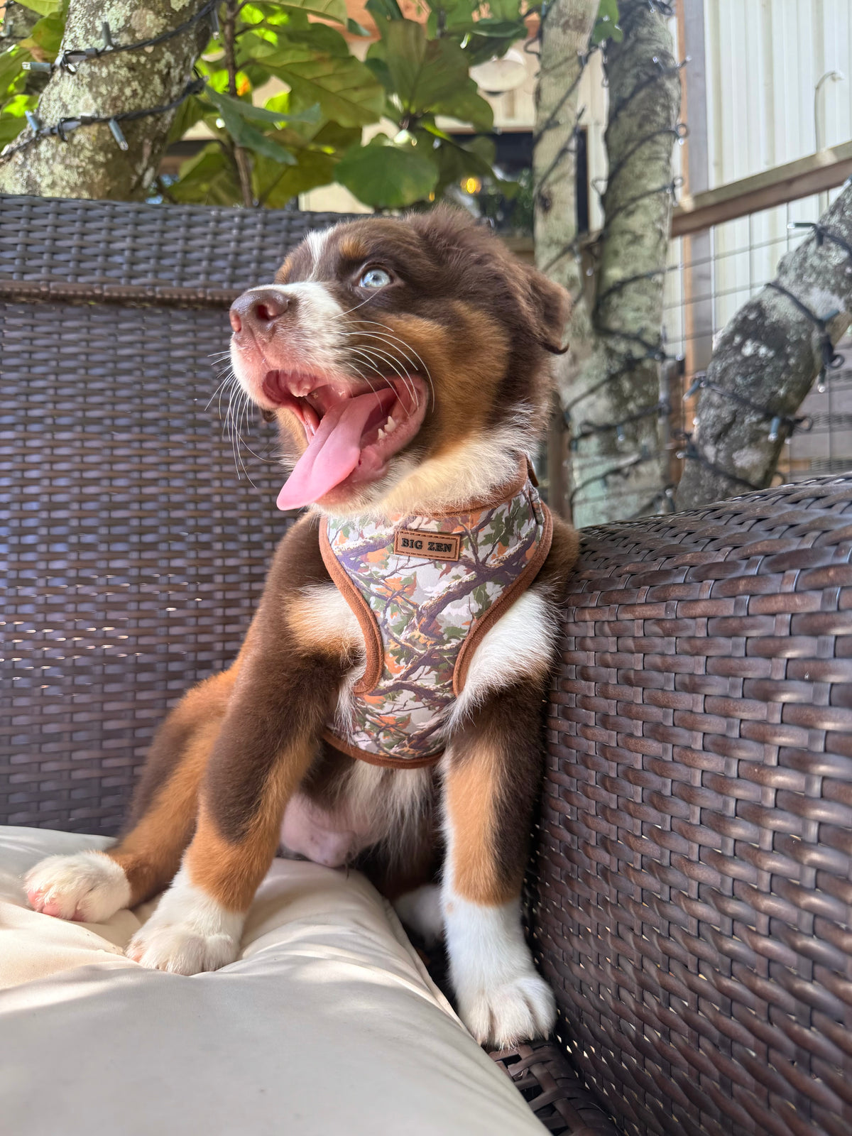 Woodland Trails Harness