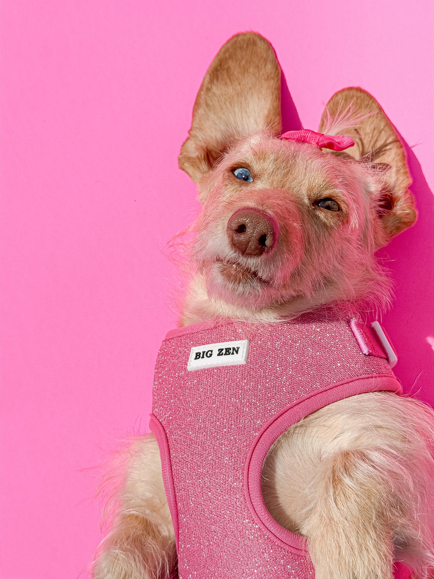 Stardust Harness