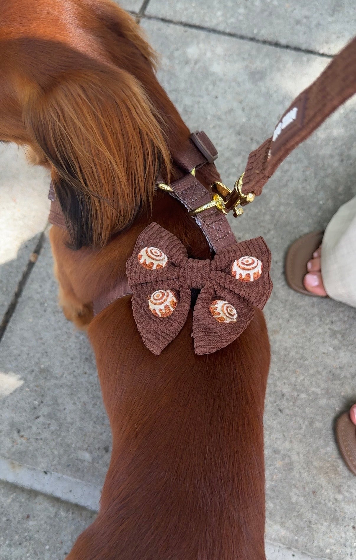 Cinnamon Swirl Sailor Bow