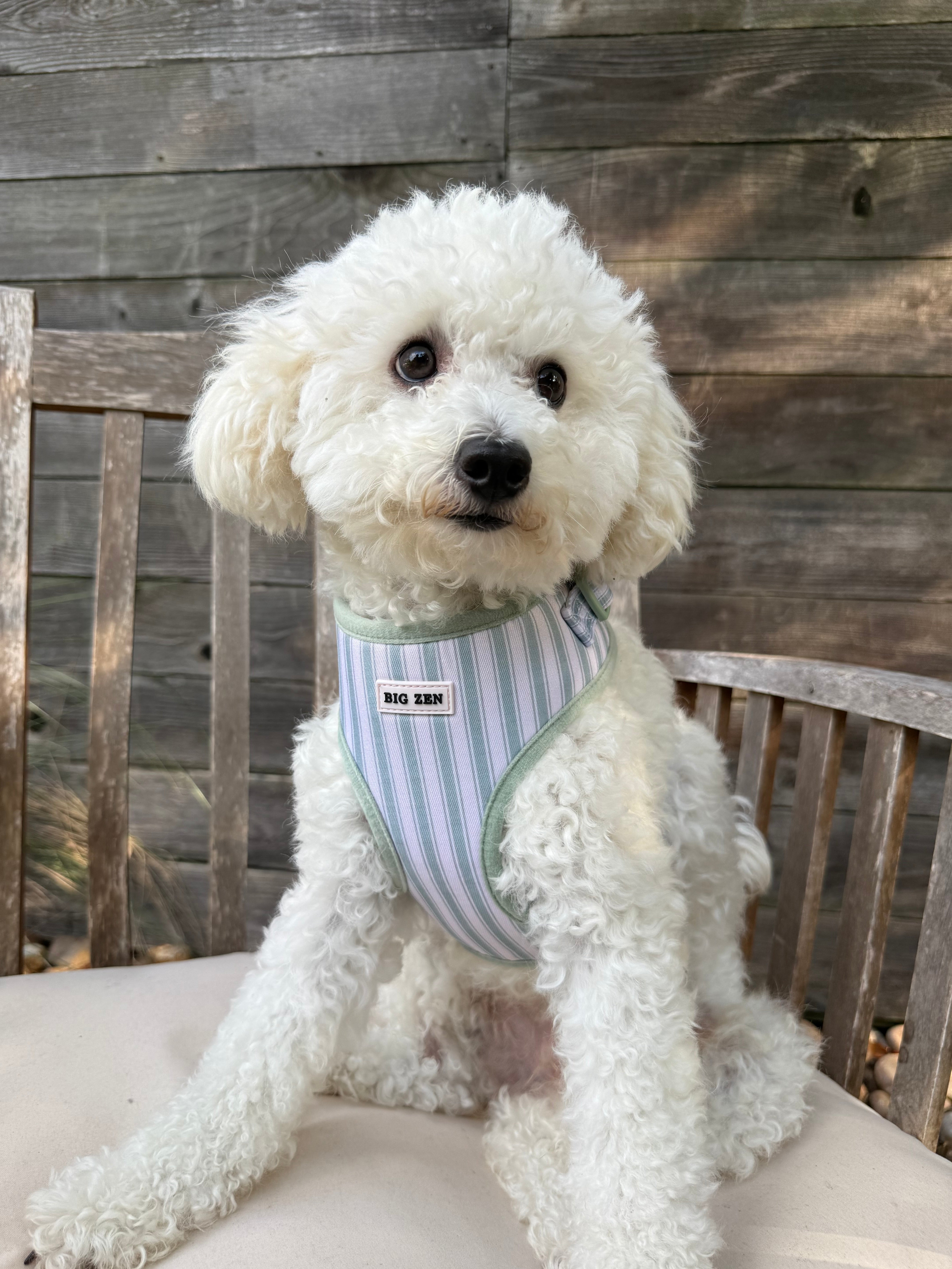 Ivy Stripe Harness