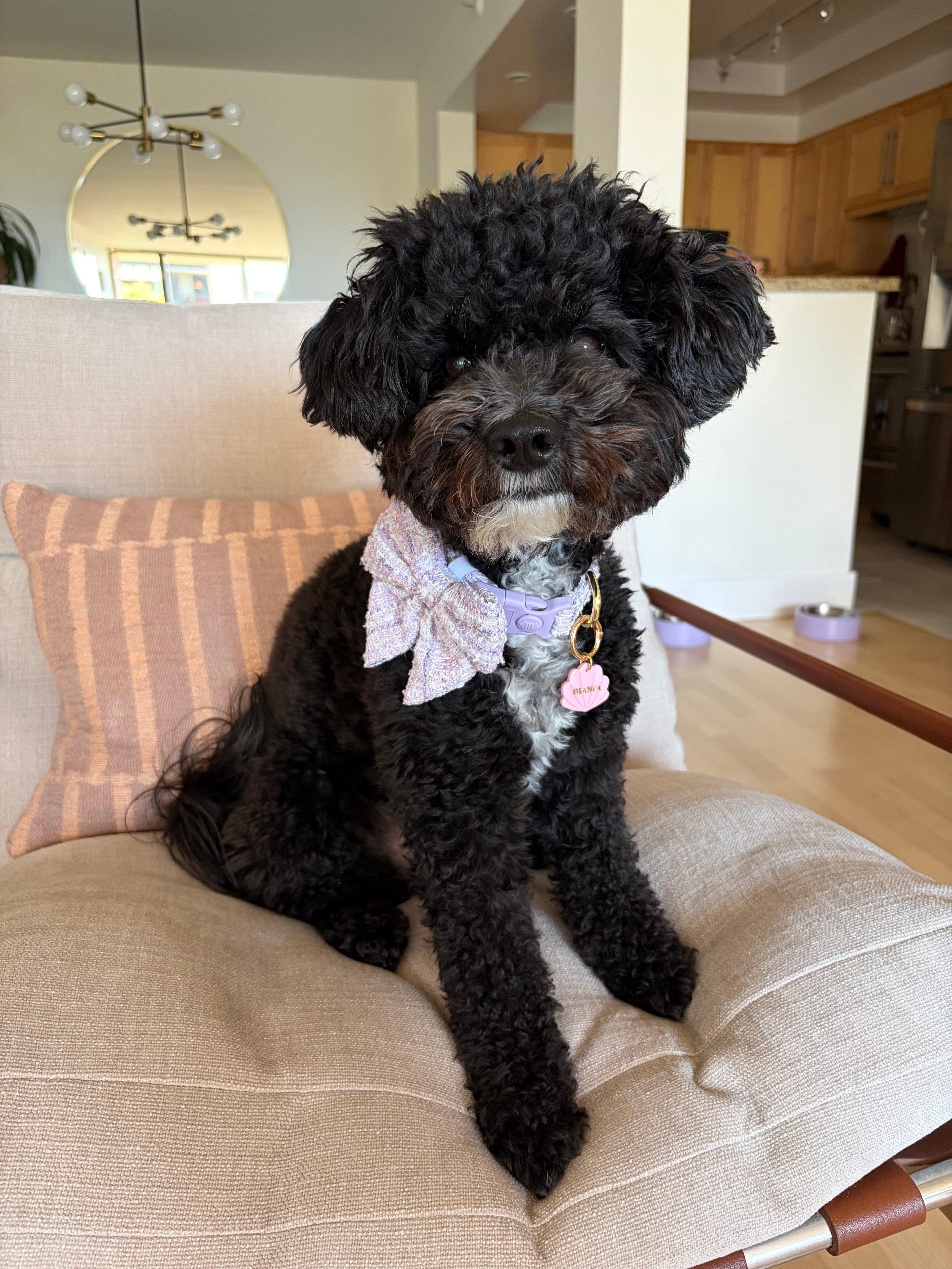 Lavender Tweed Sailor Bow