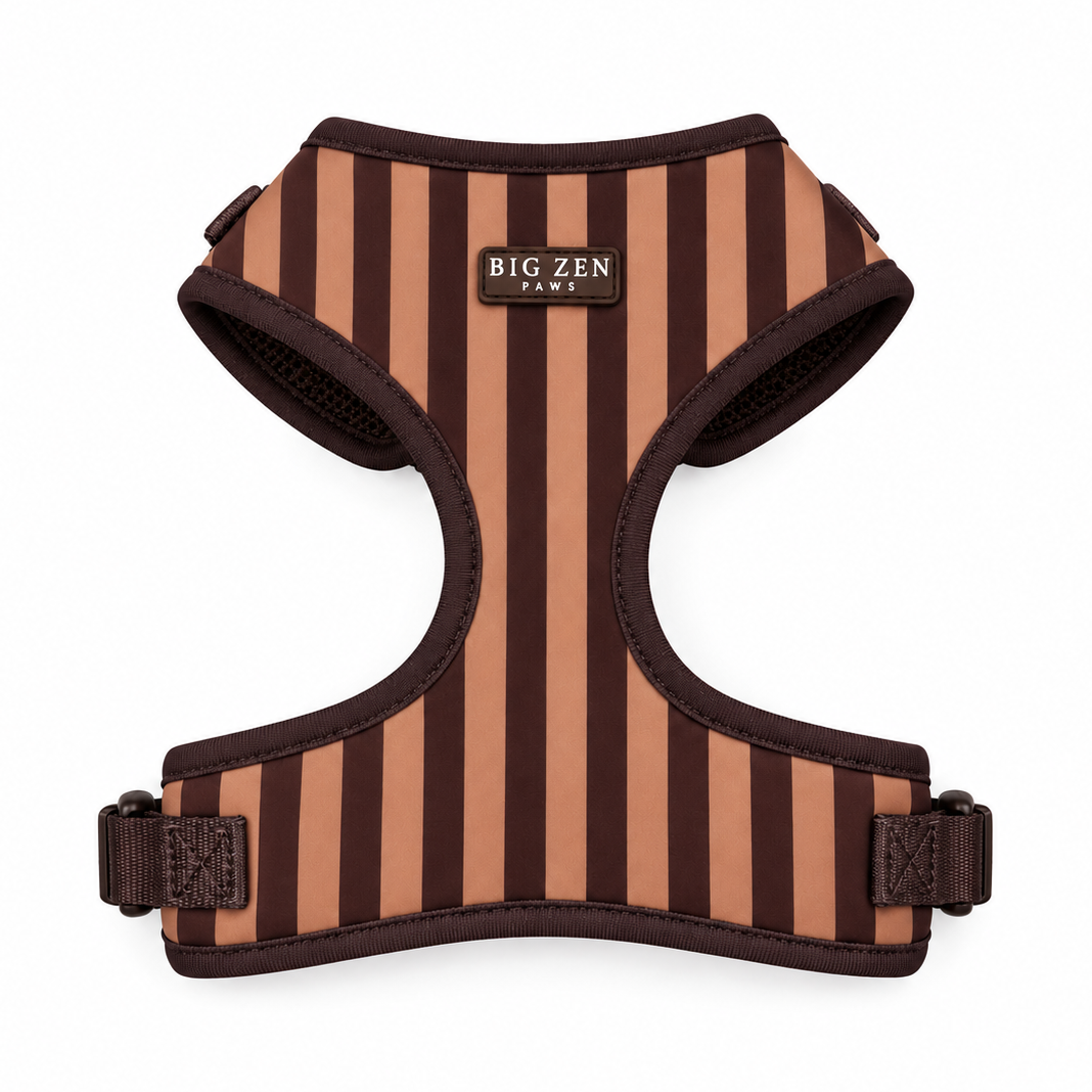 Brown Sugar Harness