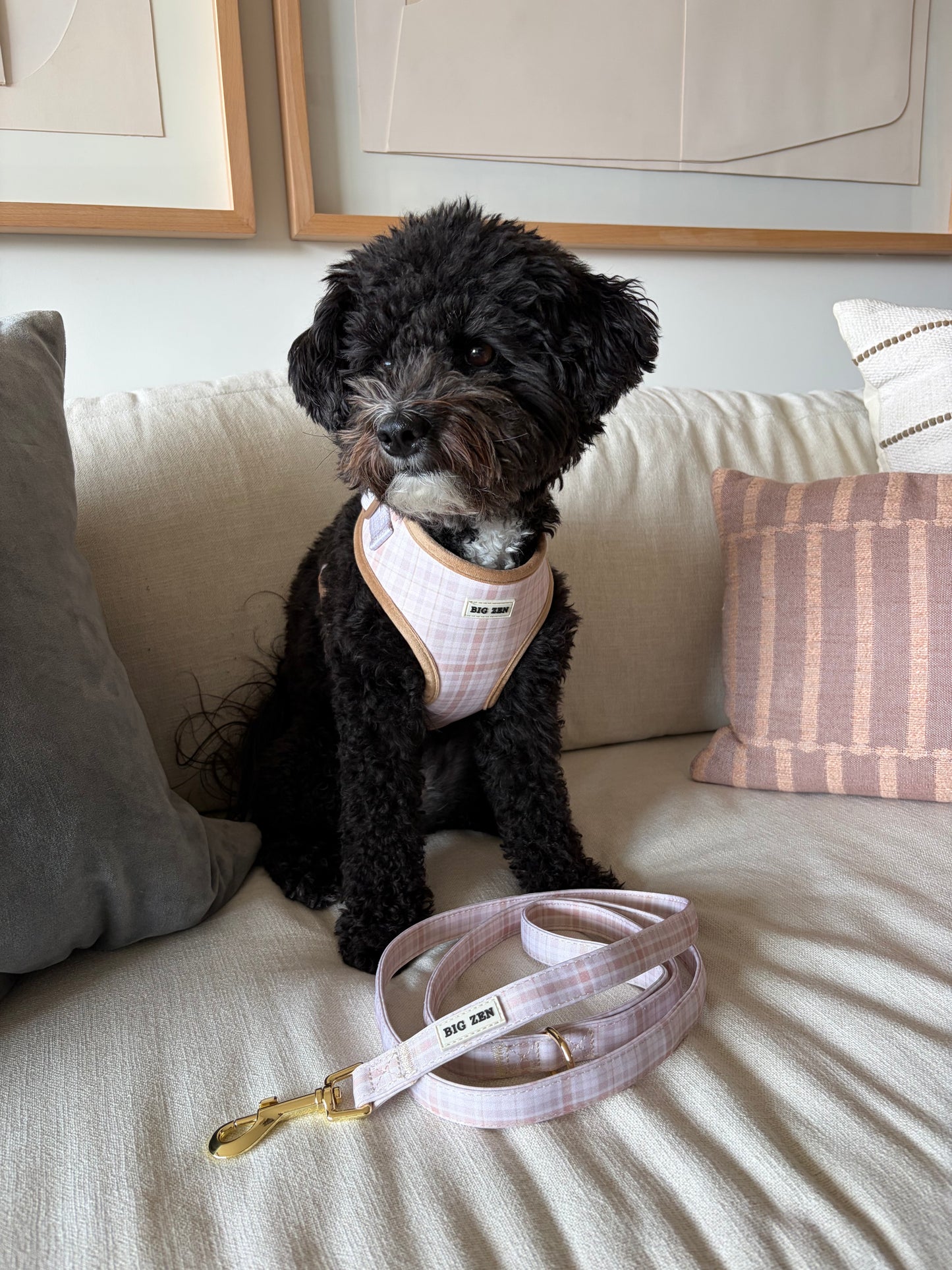 Cloud Foam Latte Harness