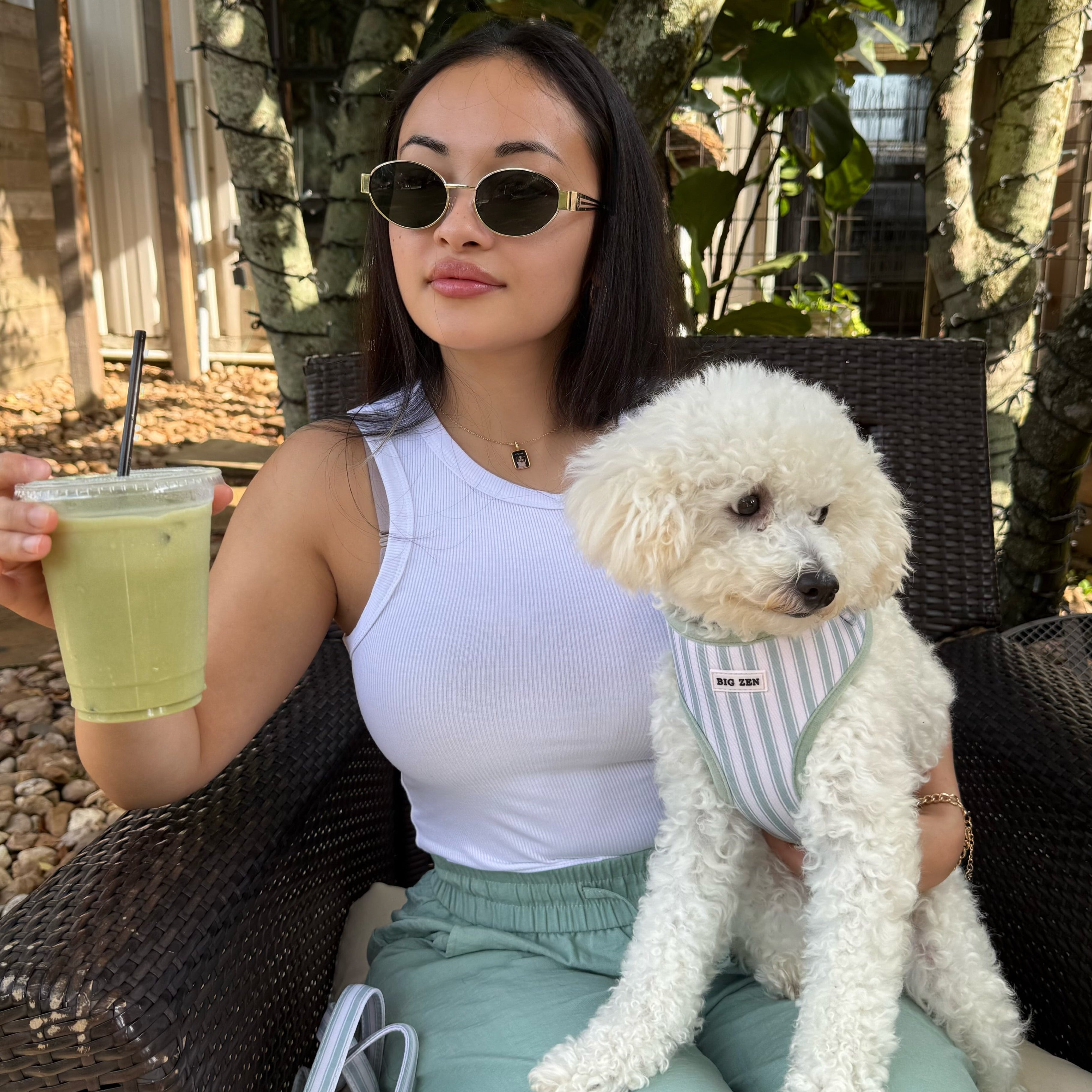 Ivy Stripe Harness