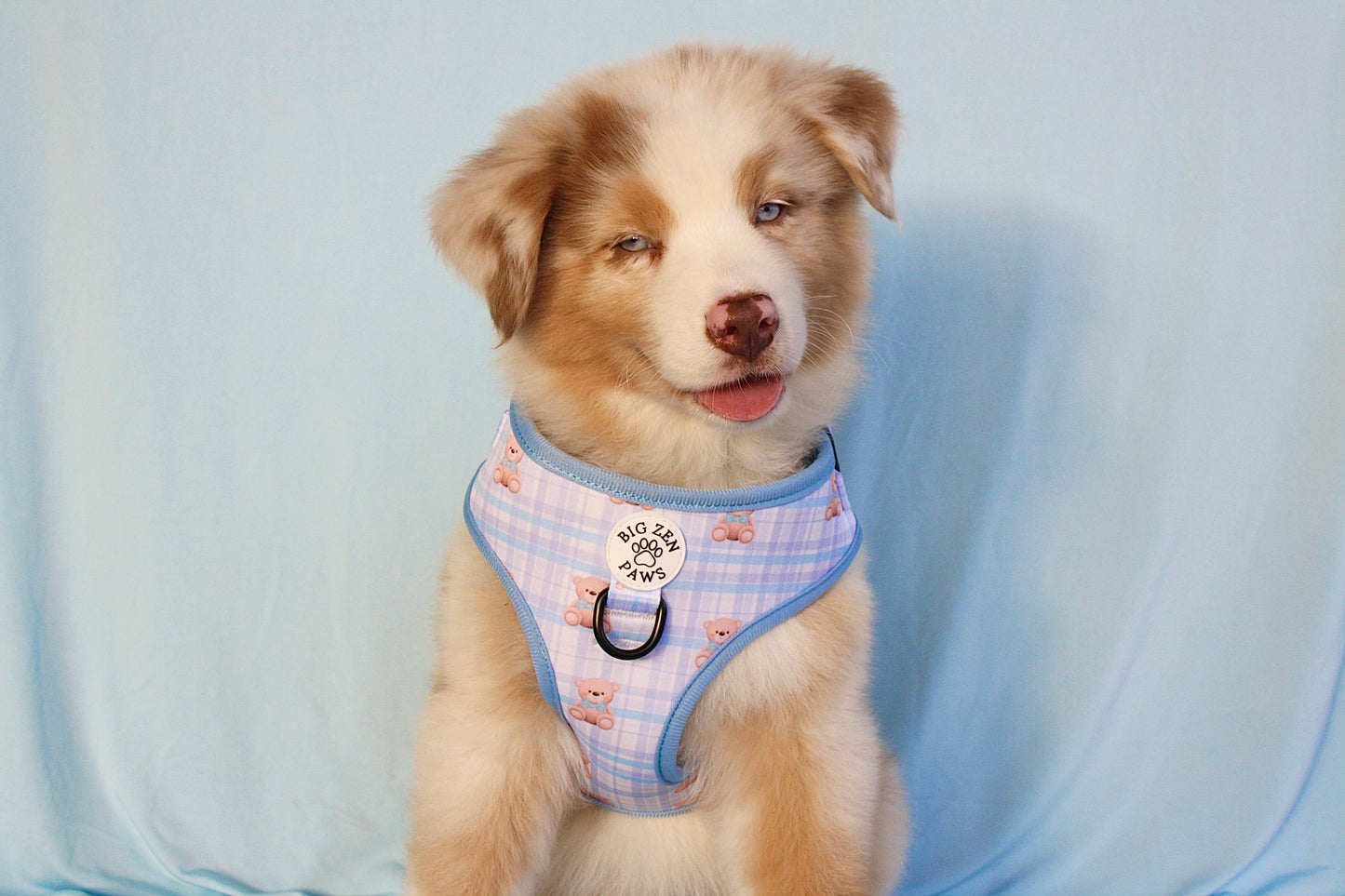 Beary blue harness
