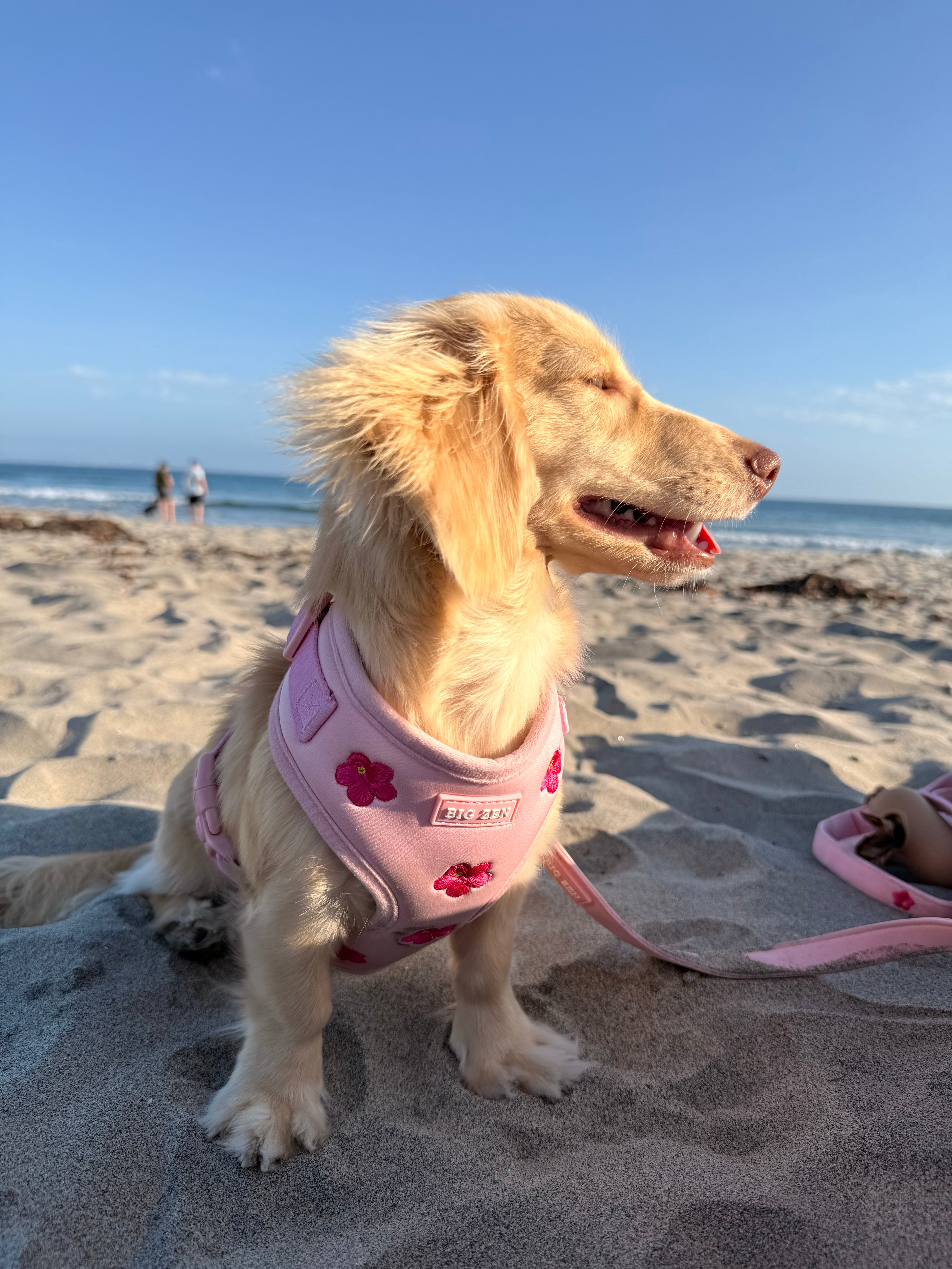 Pink Paradise Harness