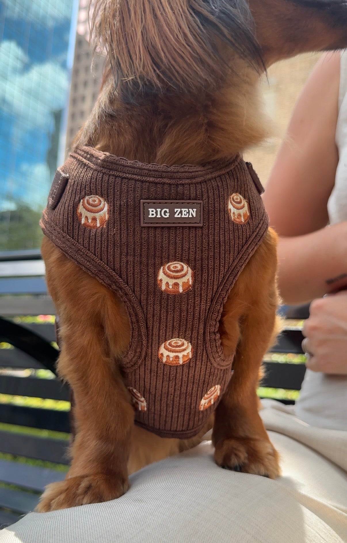 Cinnamon Swirl Harness