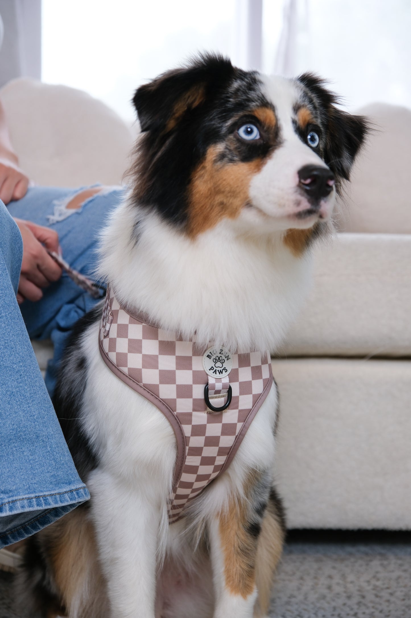 Checkerboard Charm Harness