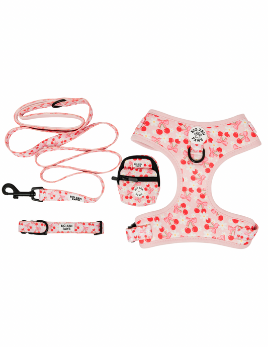 Sakura Harness, Collar, Leash, & Backpack bundle